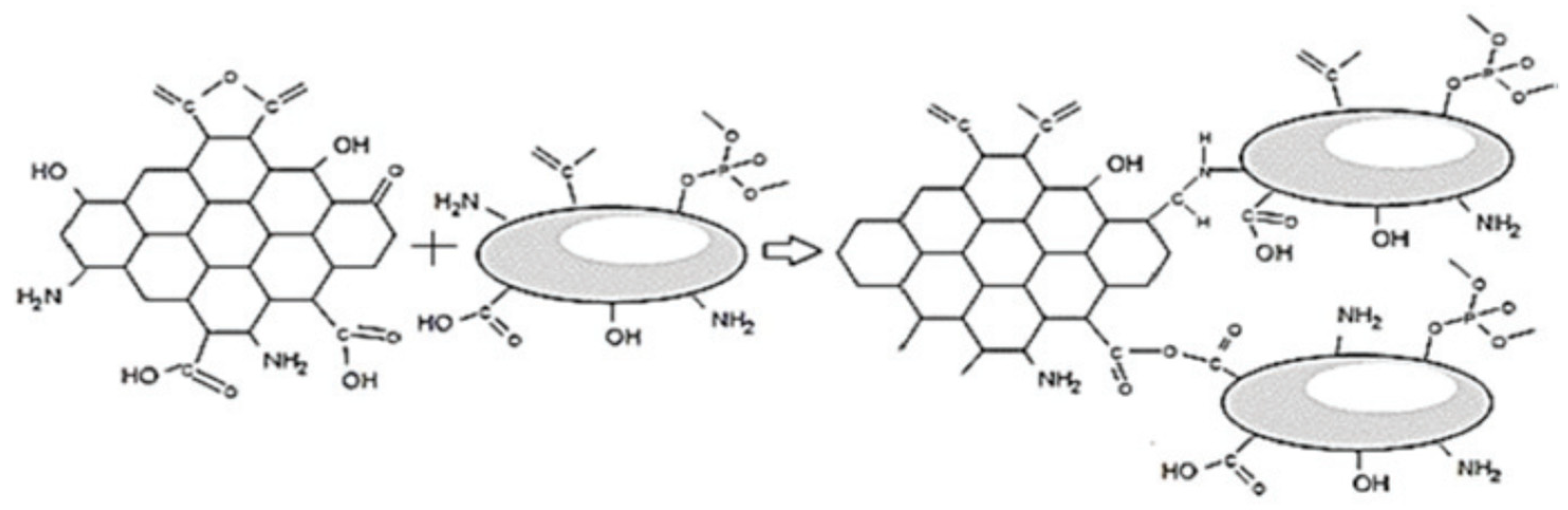 Carbon 08 00055 g013