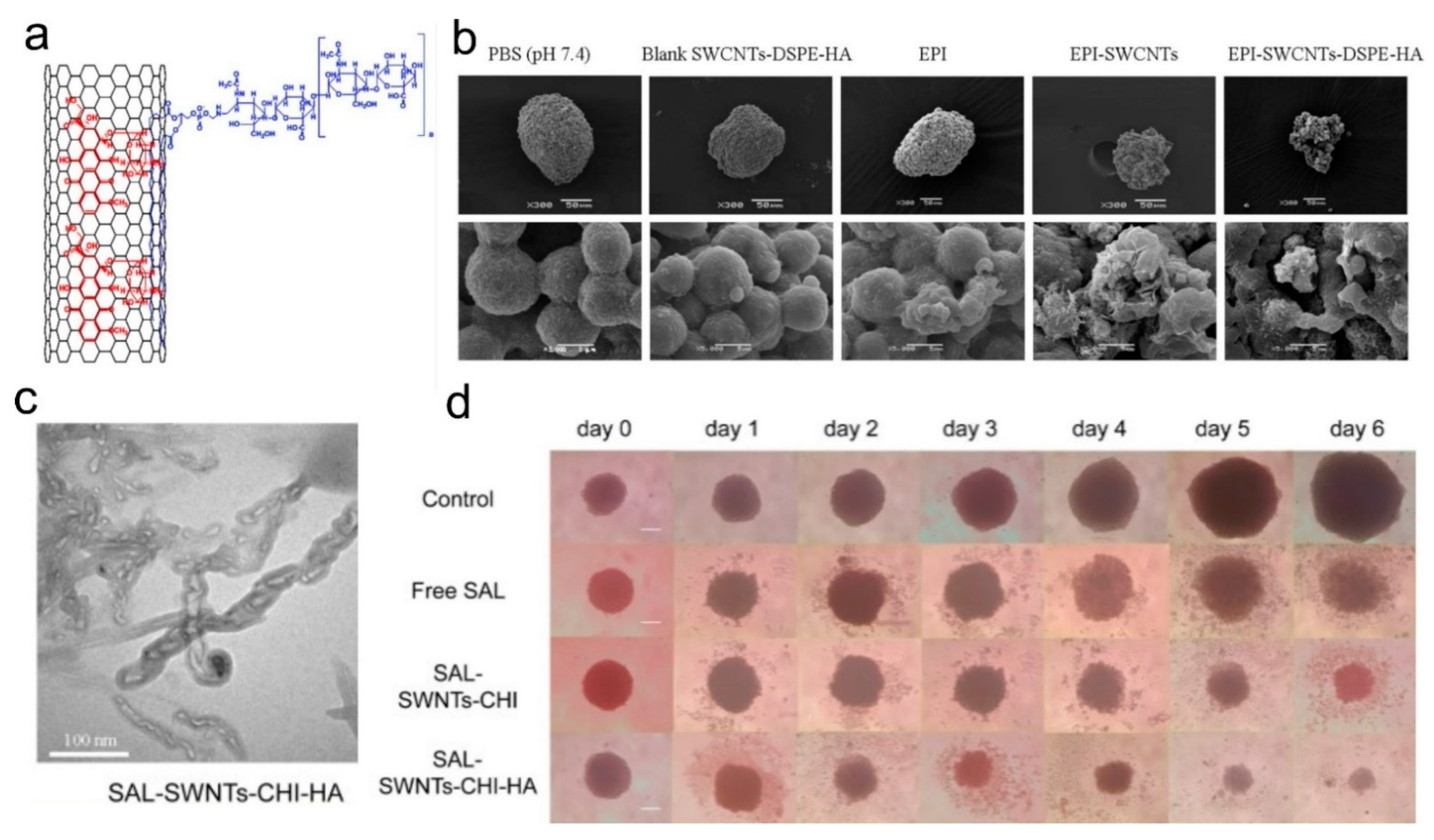 Carbon 08 00056 g005 Carbon 08 00056 g005