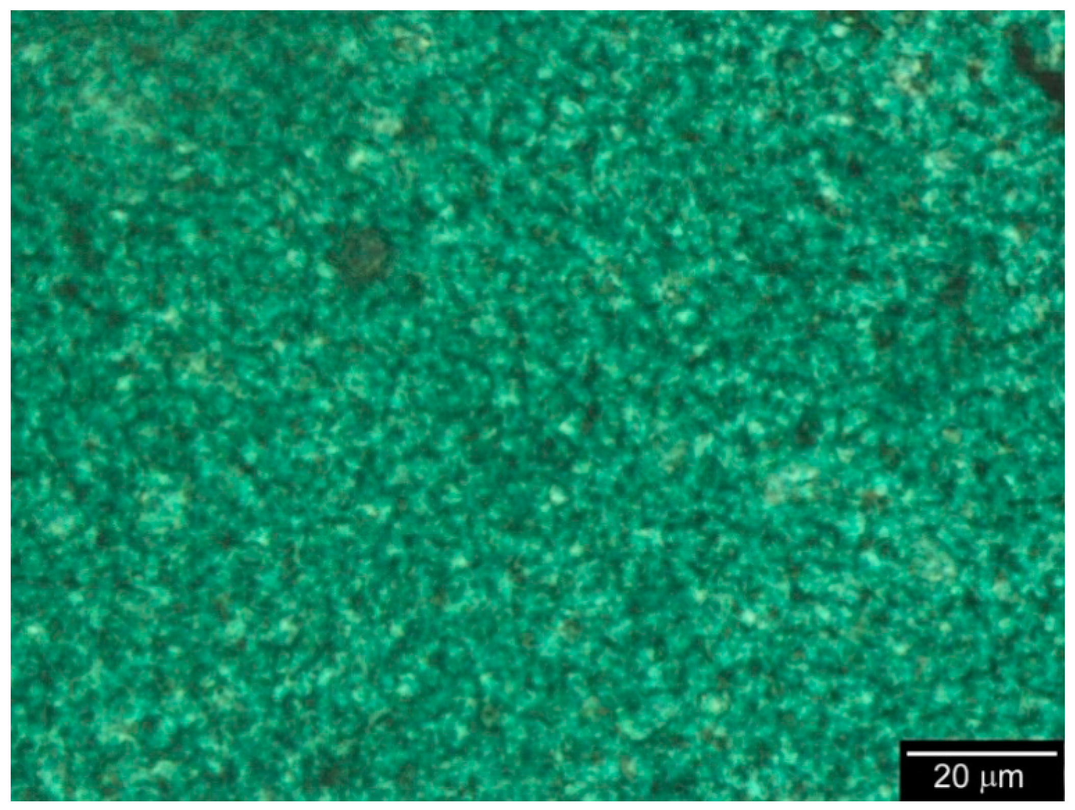 Carbon 08 00060 g012