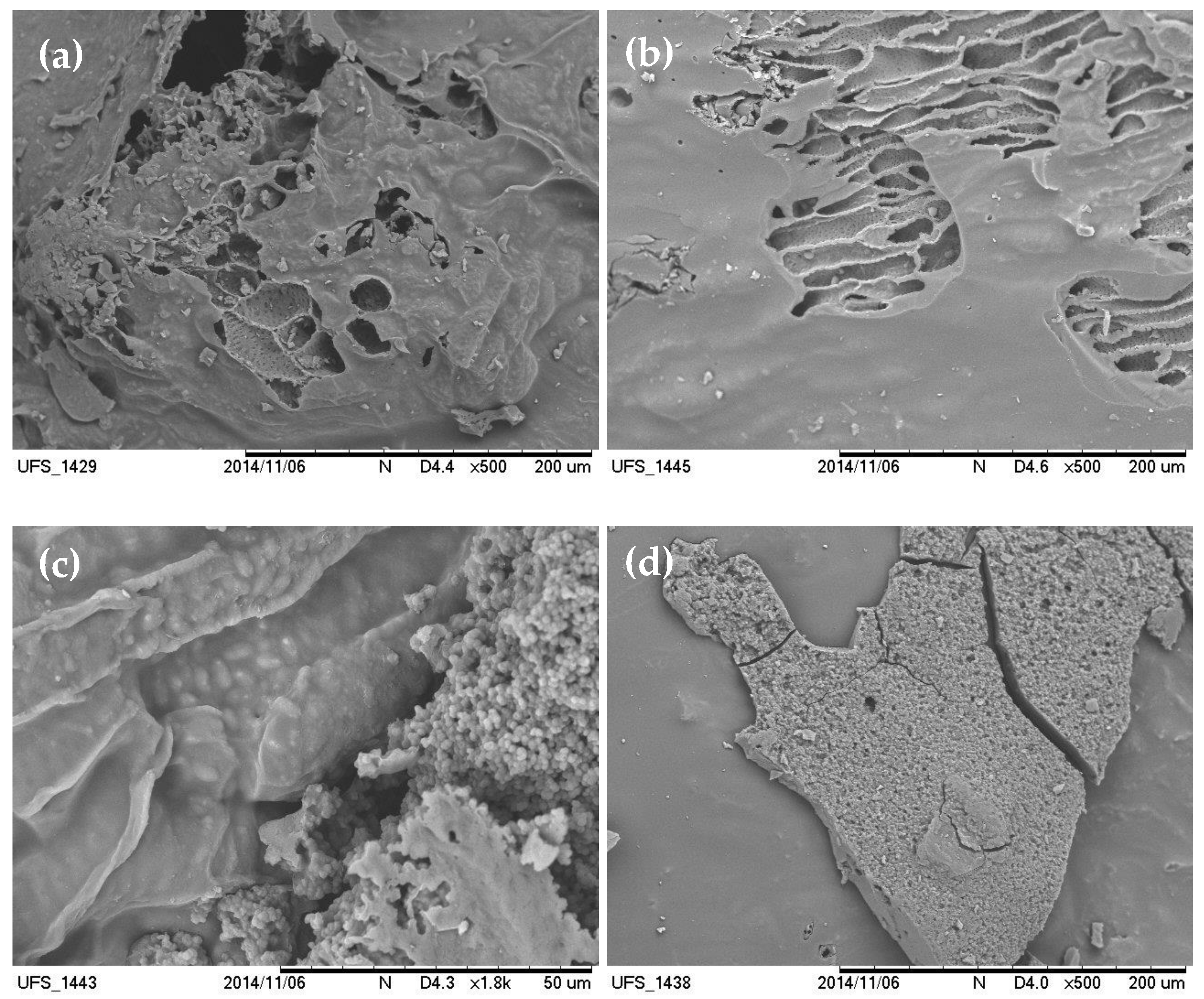 Carbon 08 00064 g007