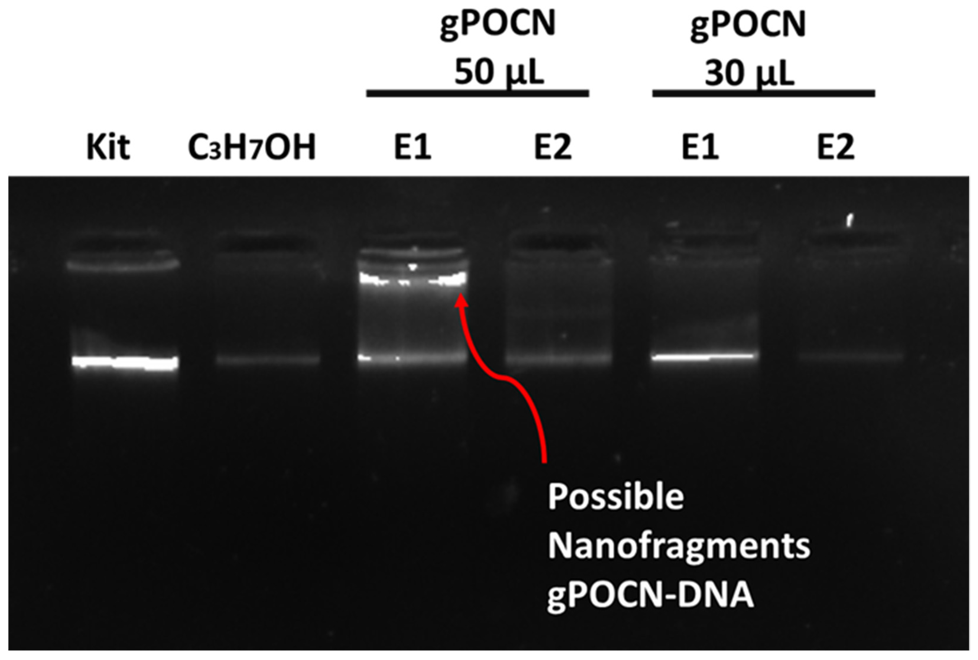 Carbon 08 00068 g008