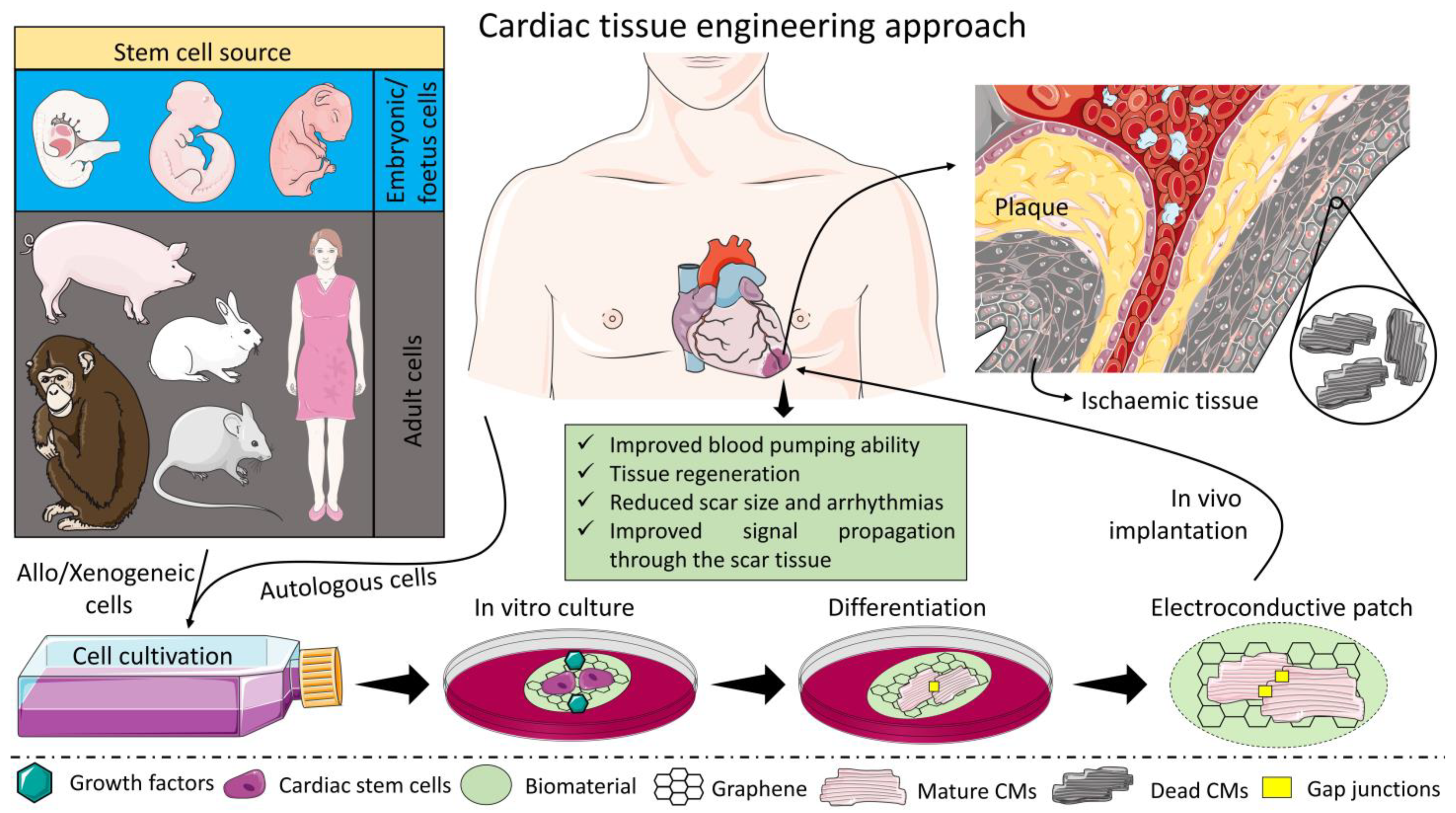 Carbon 08 00072 g002