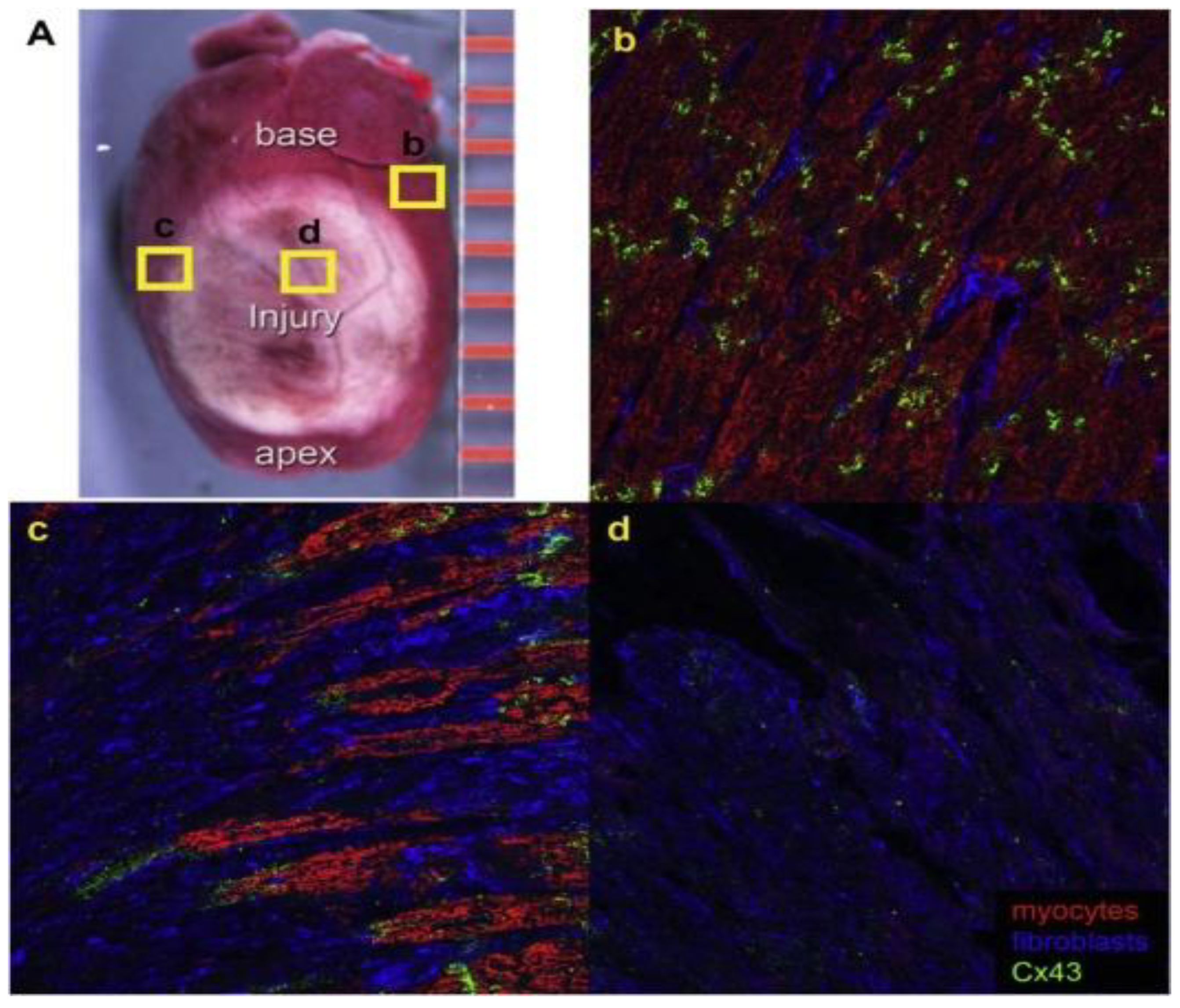 Carbon 08 00072 g004