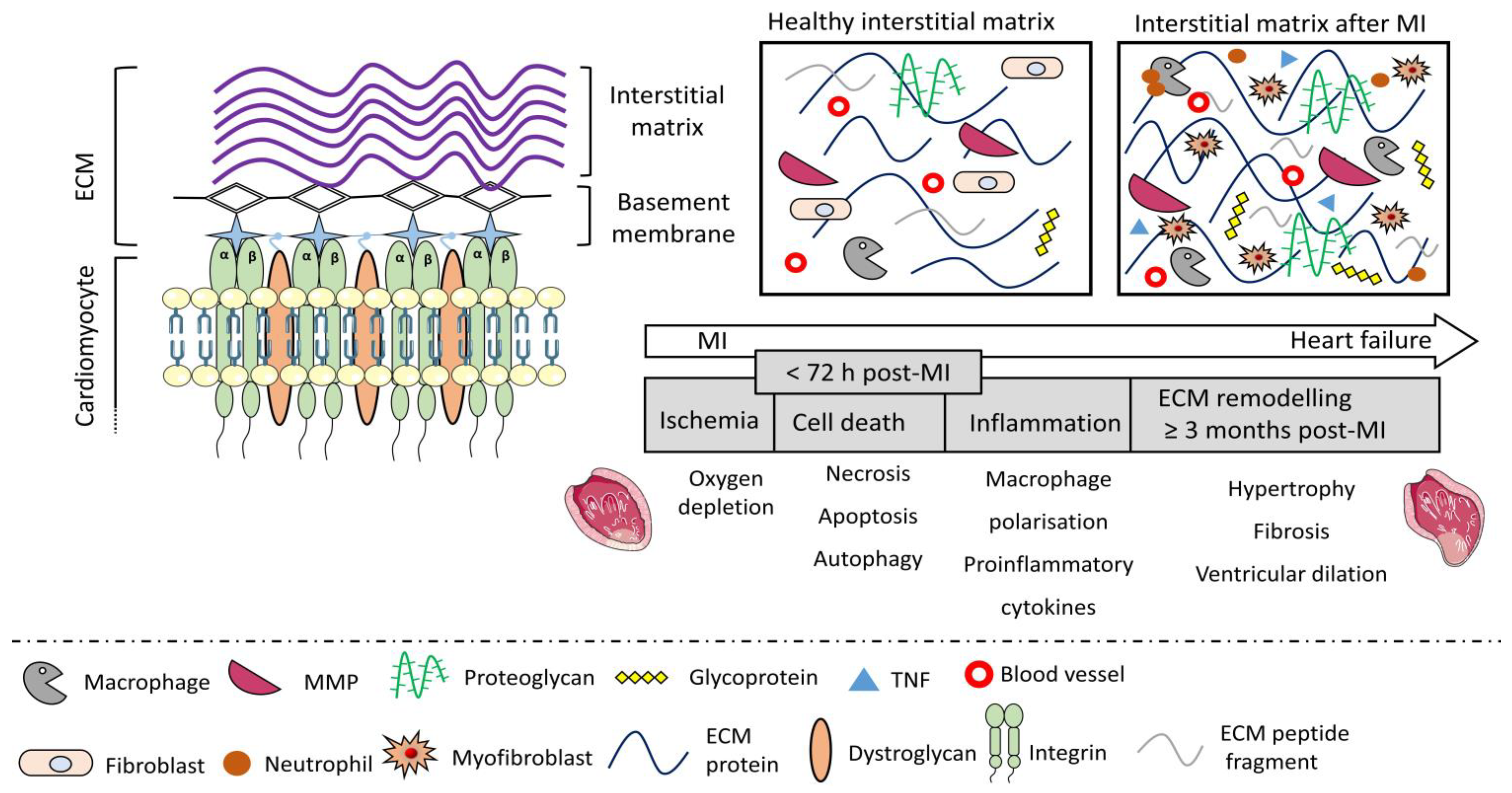 Carbon 08 00072 g005