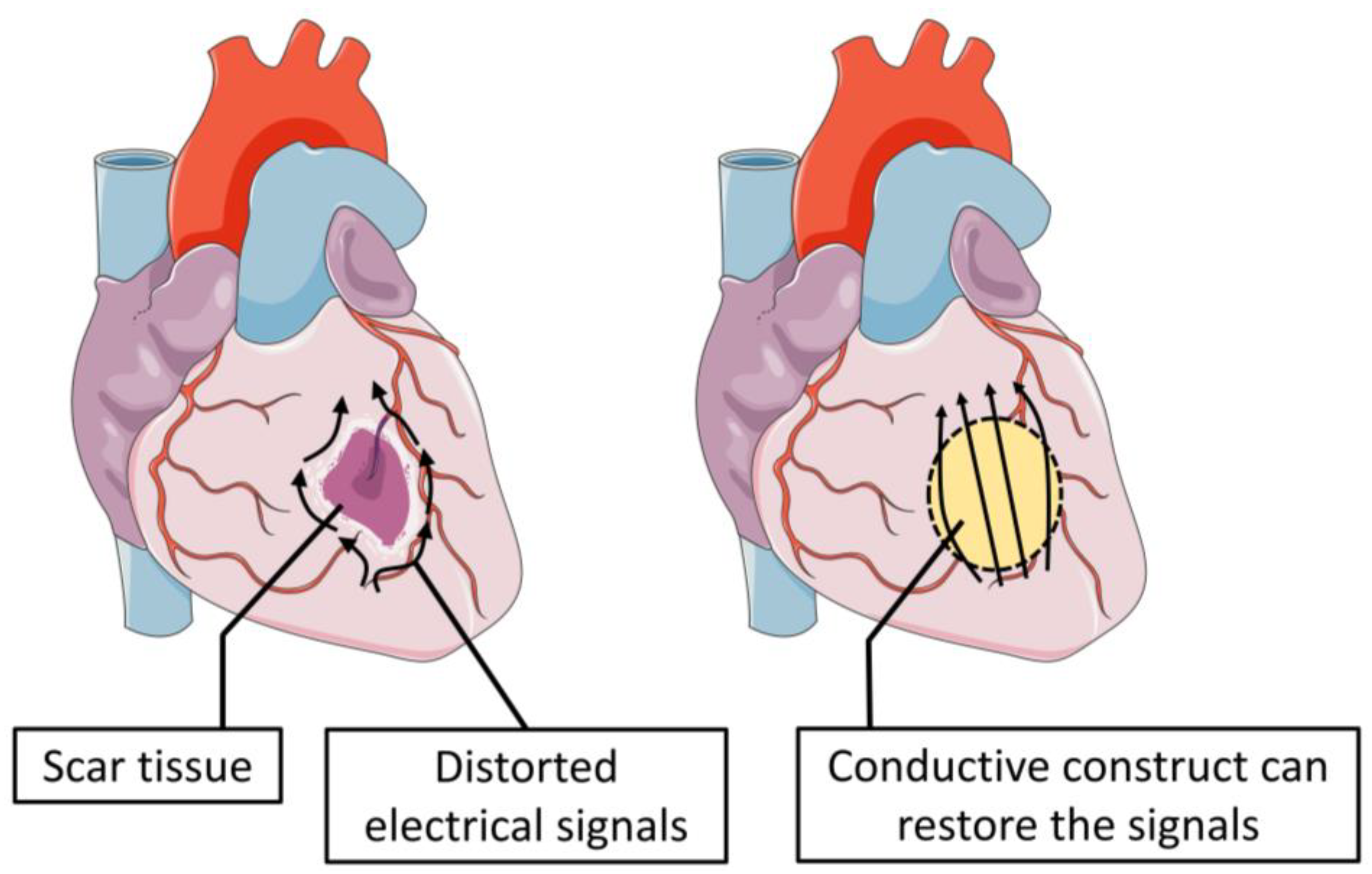 Carbon 08 00072 g006