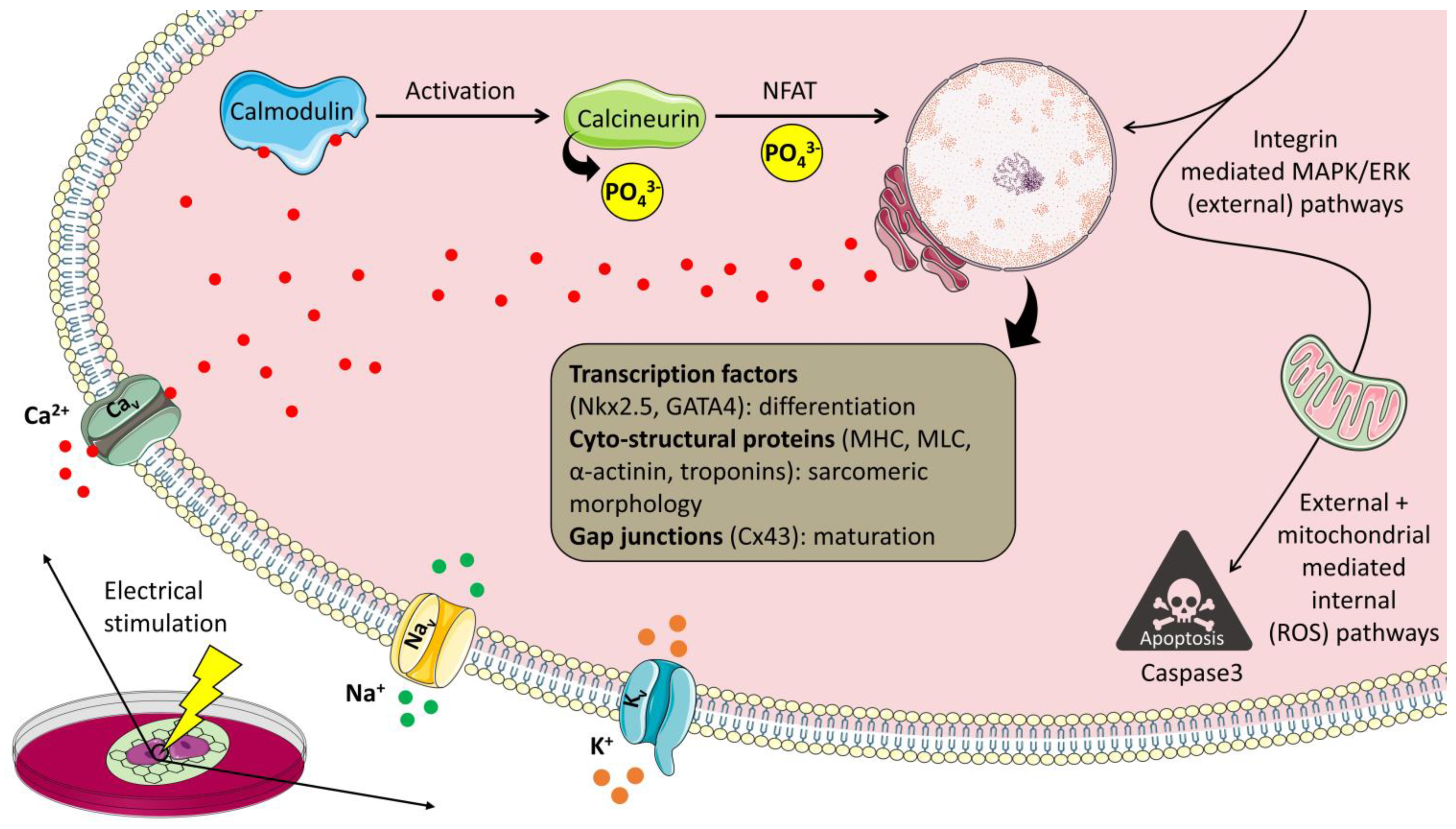 Carbon 08 00072 g007