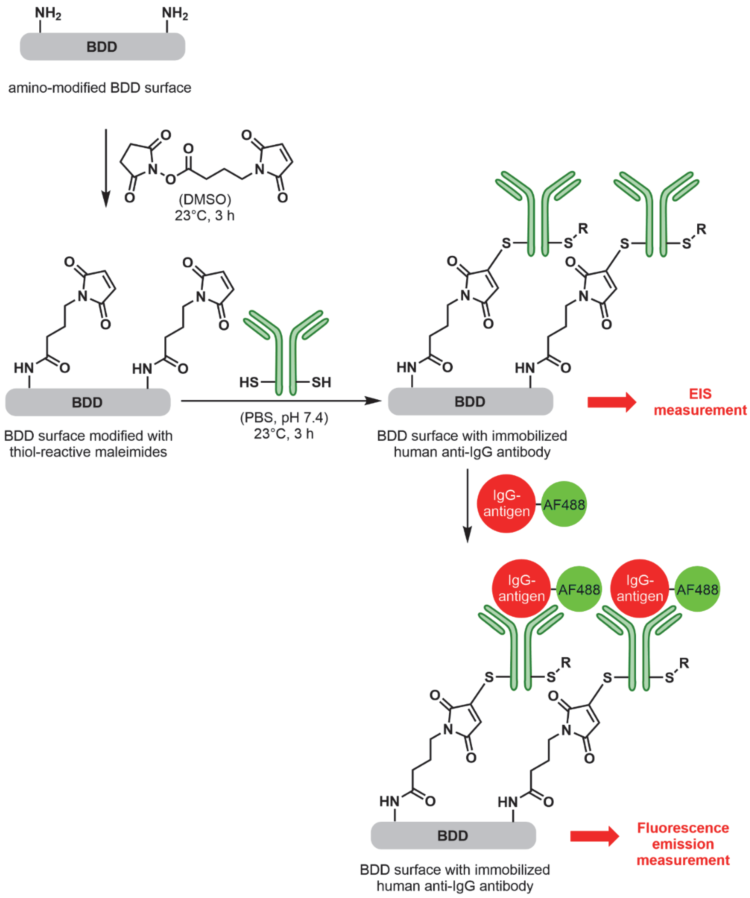 Carbon 08 00074 g001