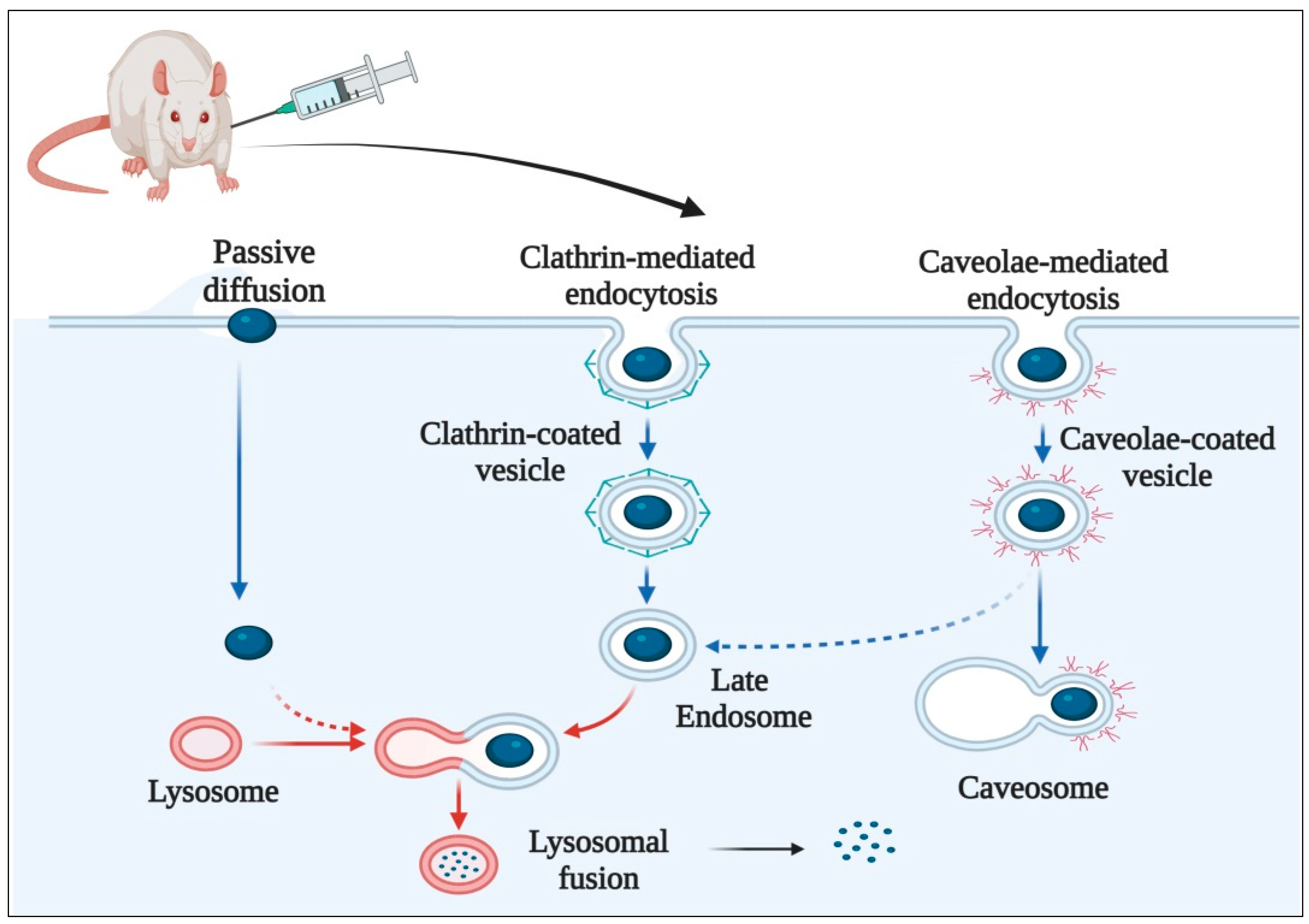 Carbon 09 00003 g003 Carbon 09 00003 g003