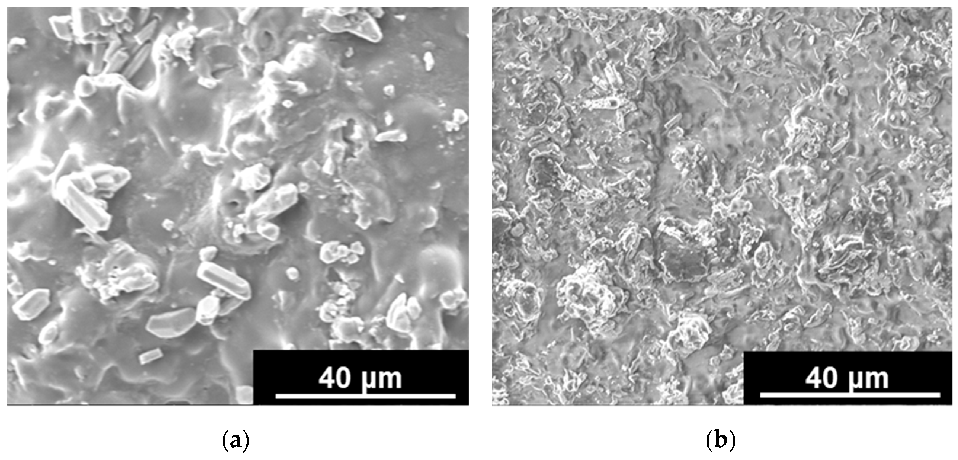 Carbon 09 00008 g003