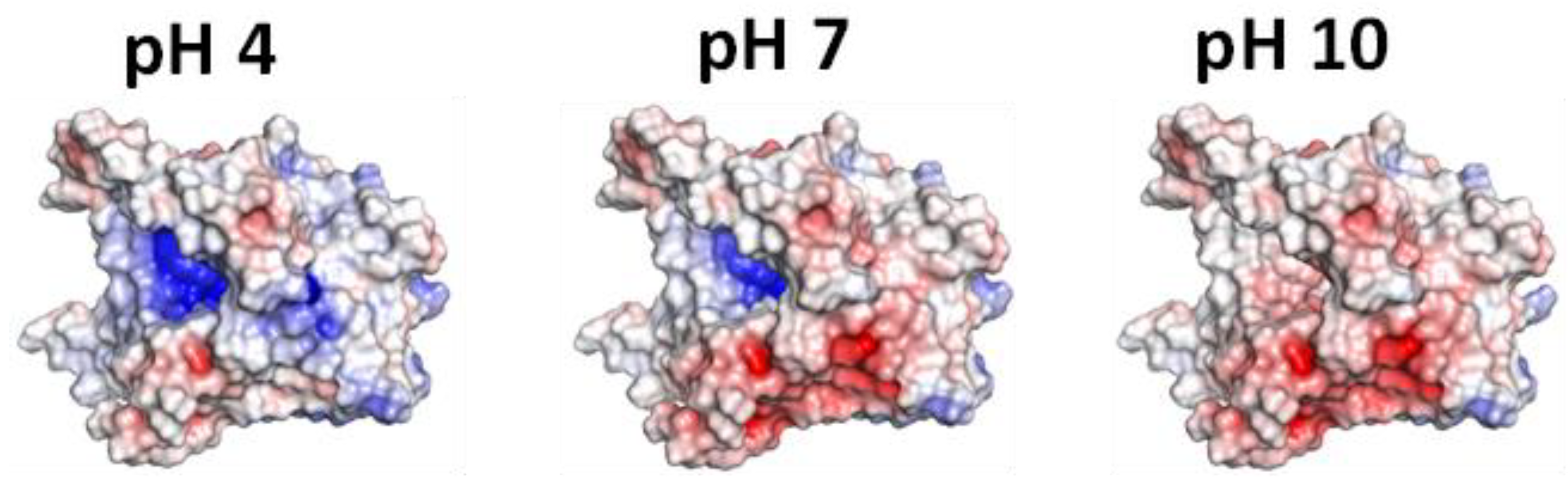 Carbon 09 00012 g004 Carbon 09 00012 g004