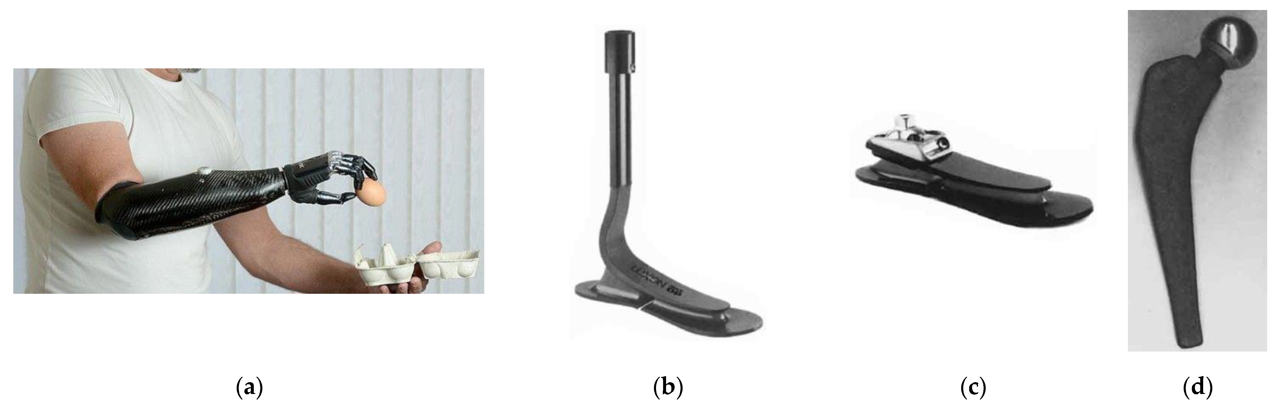 Carbon 09 00019 g019