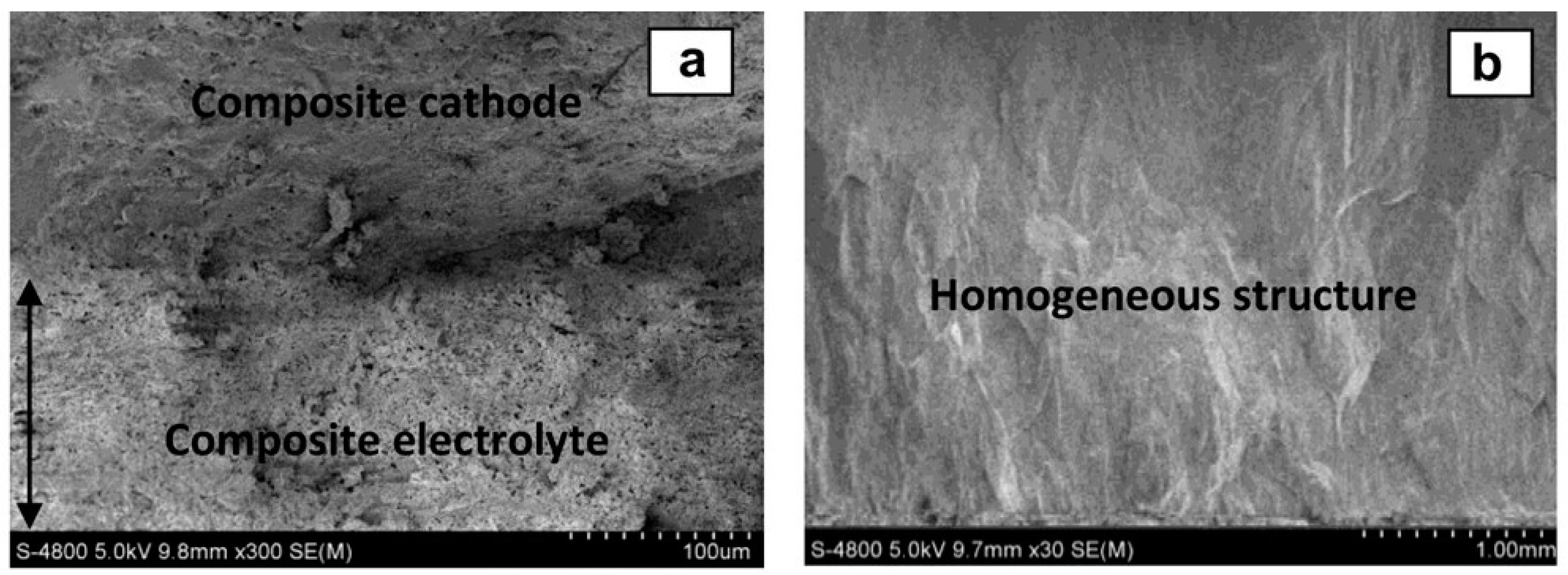 Carbon 09 00022 g011 Carbon 09 00022 g011