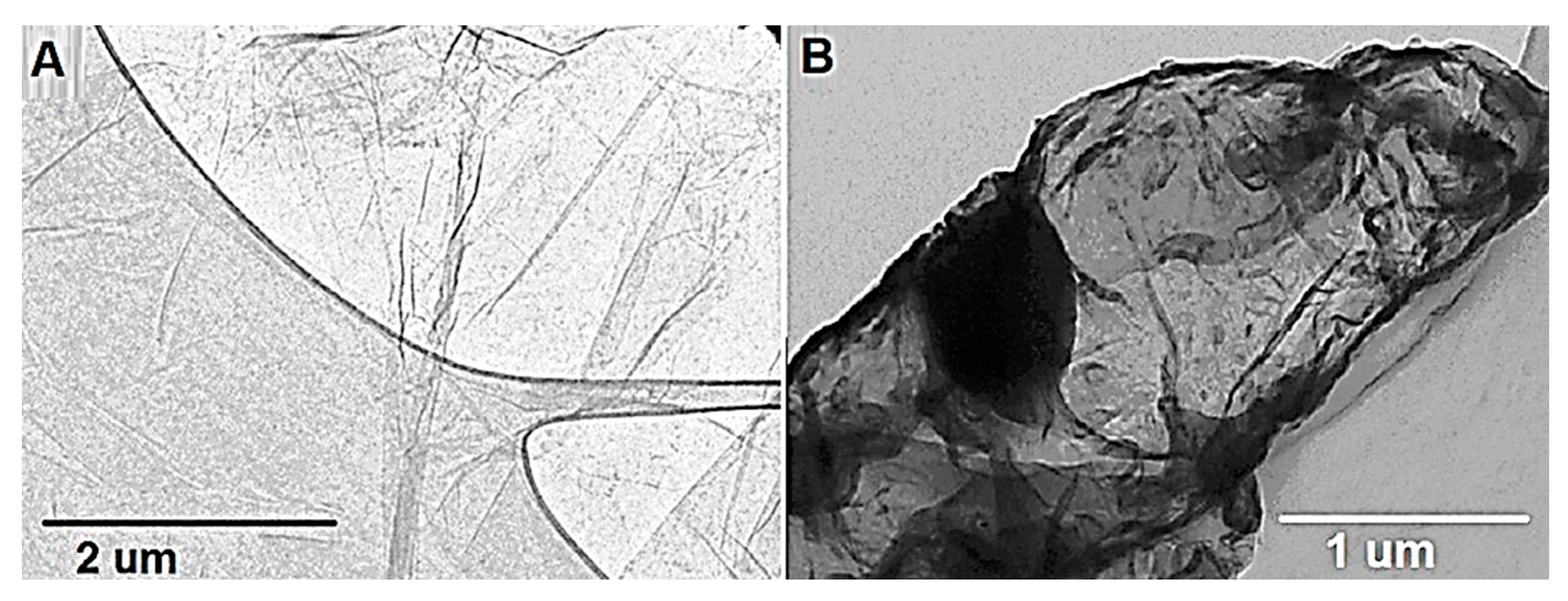 Carbon 09 00029 g007 Carbon 09 00029 g007