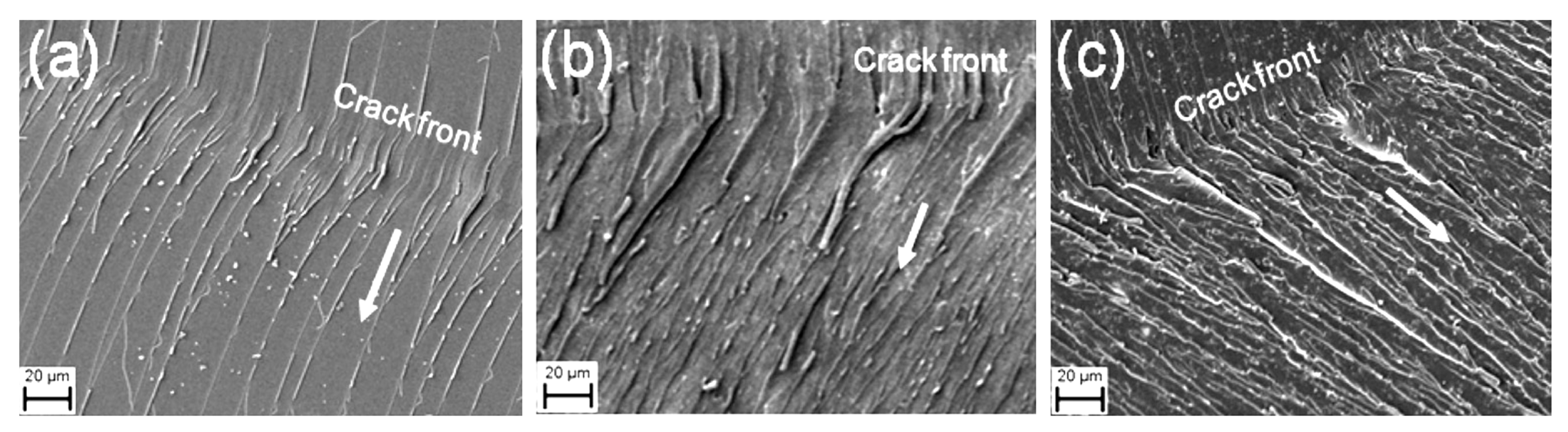 Carbon 09 00029 g009 Carbon 09 00029 g009