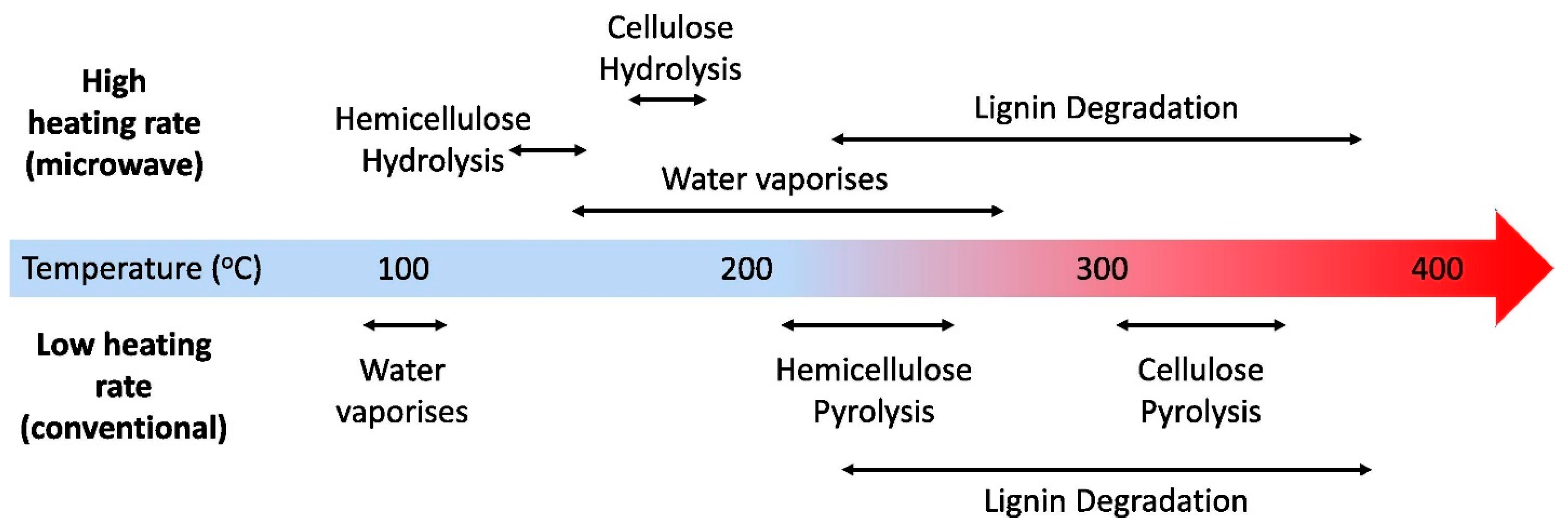 Carbon 09 00031 g005 Carbon 09 00031 g005