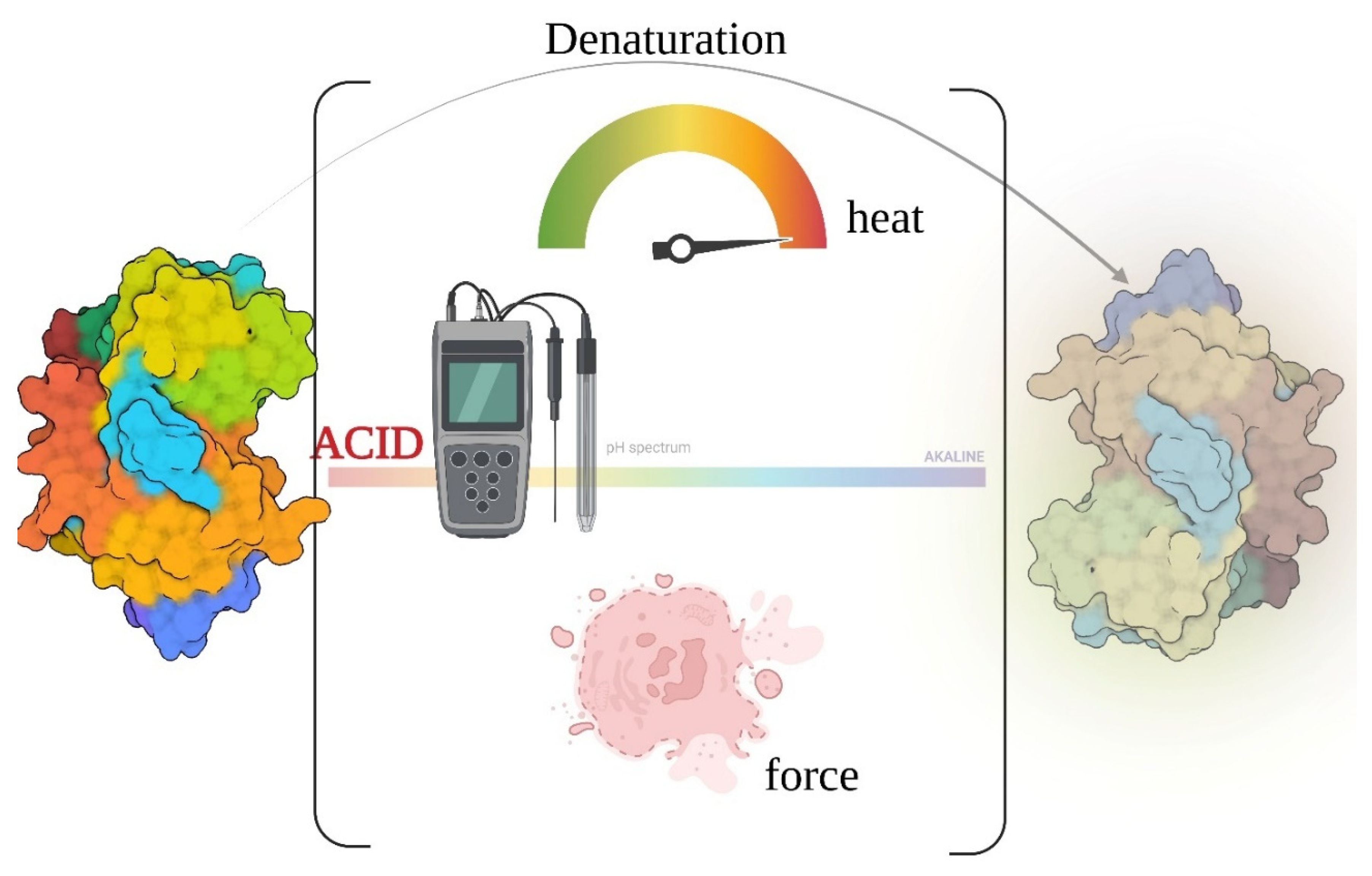 Carbon 09 00033 g001
