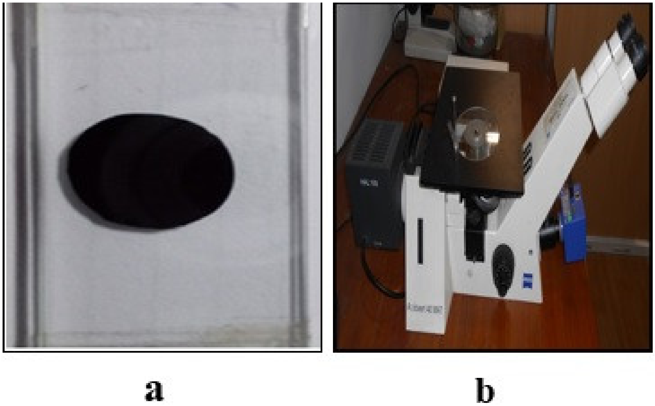 Carbon 09 00037 g002