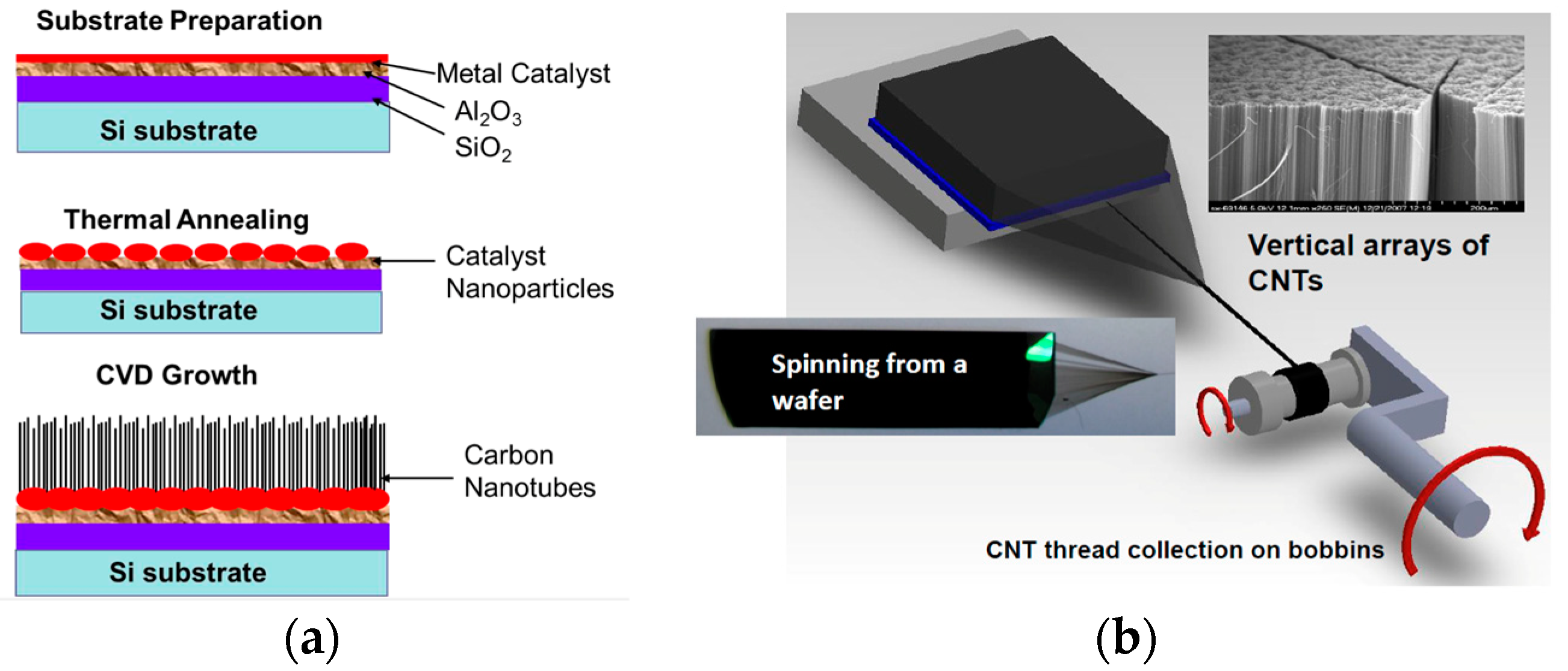 Carbon 09 00043 g001