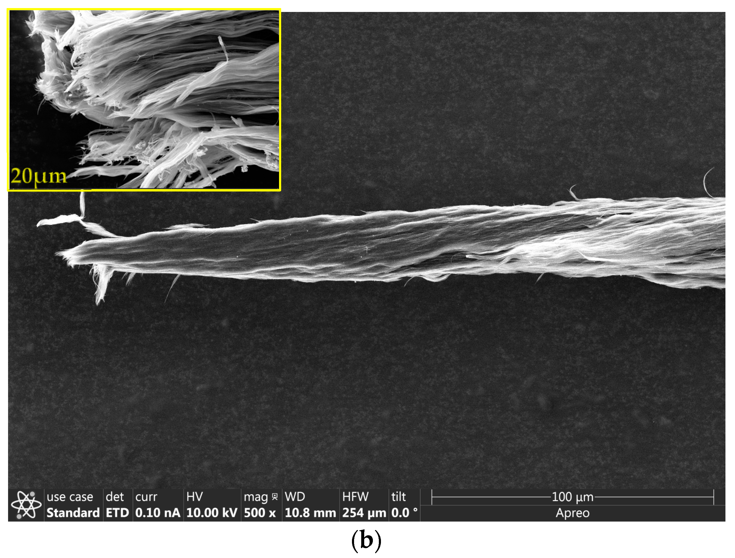 Carbon 09 00043 g010b