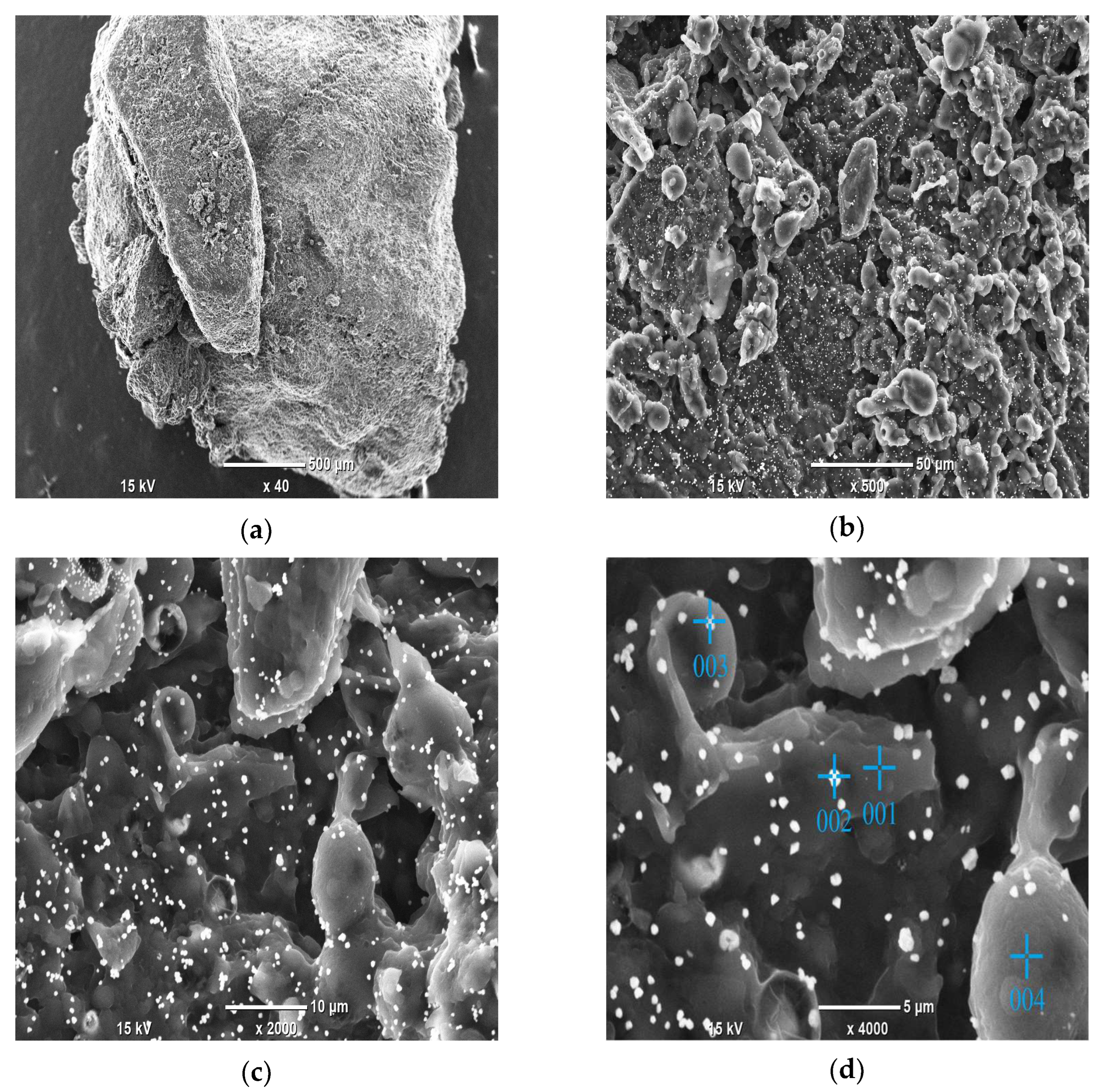 Carbon 09 00046 g009 Carbon 09 00046 g009