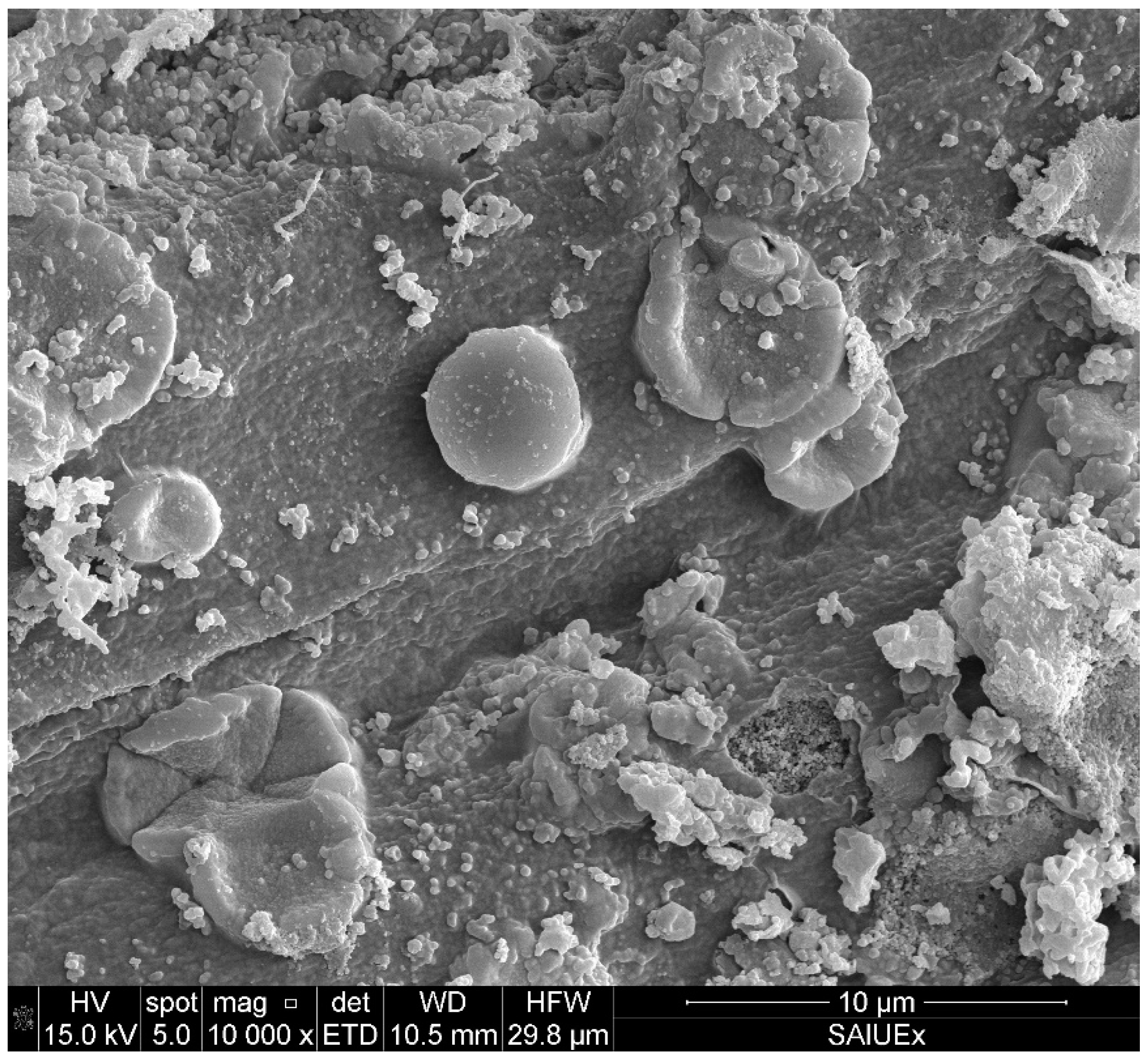 Carbon 09 00057 g009