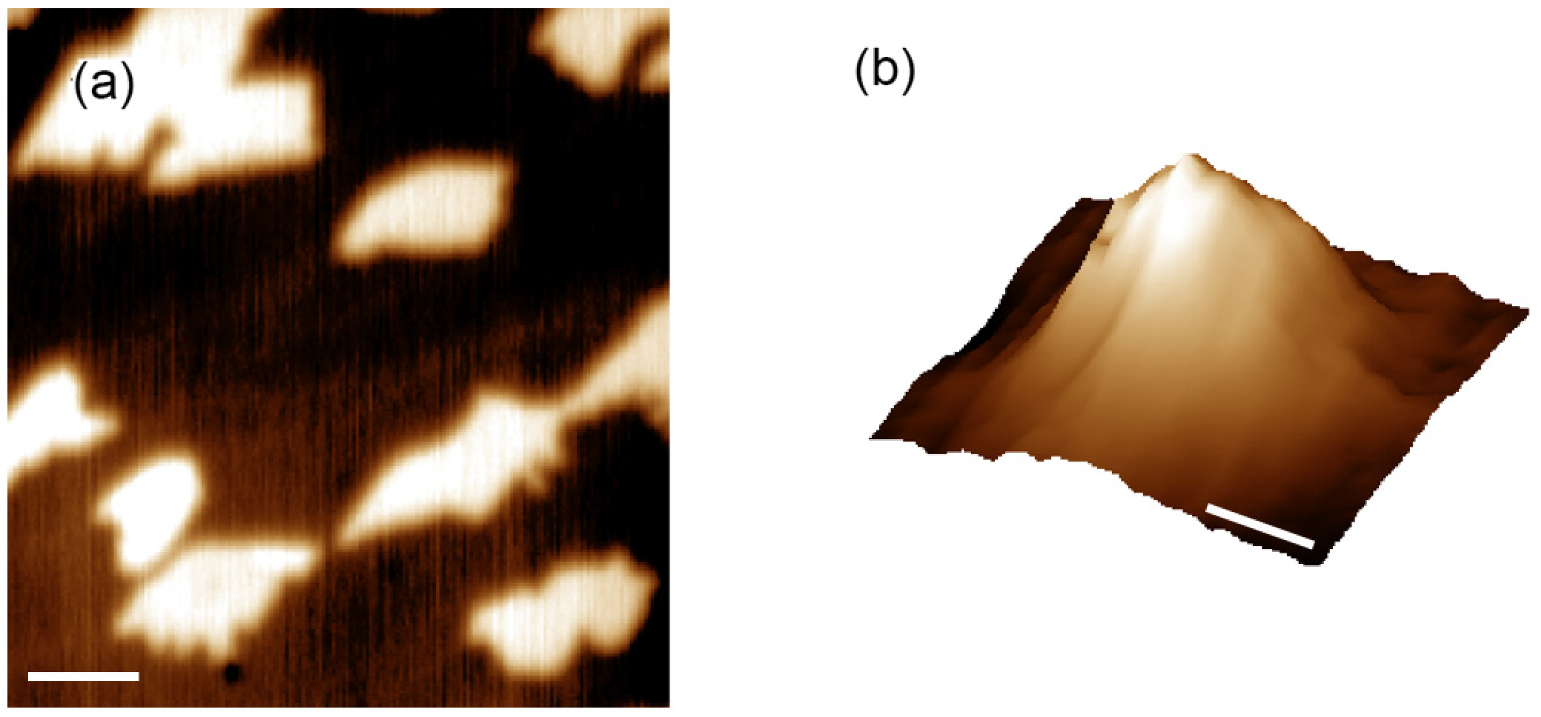 Carbon 09 00062 g004