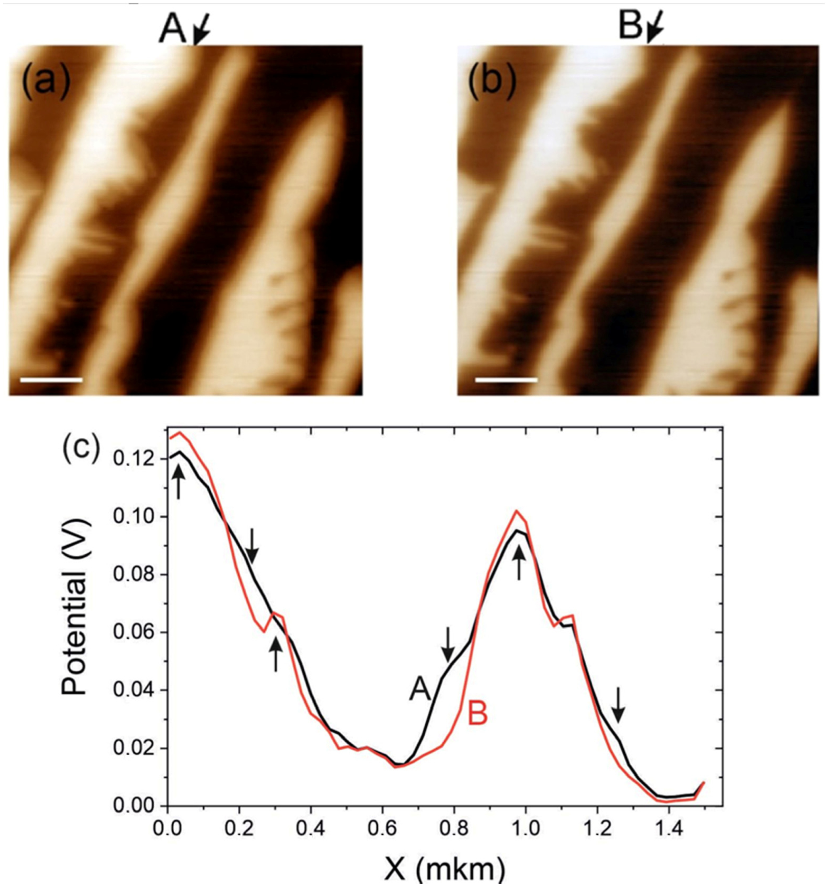 Carbon 09 00062 g005