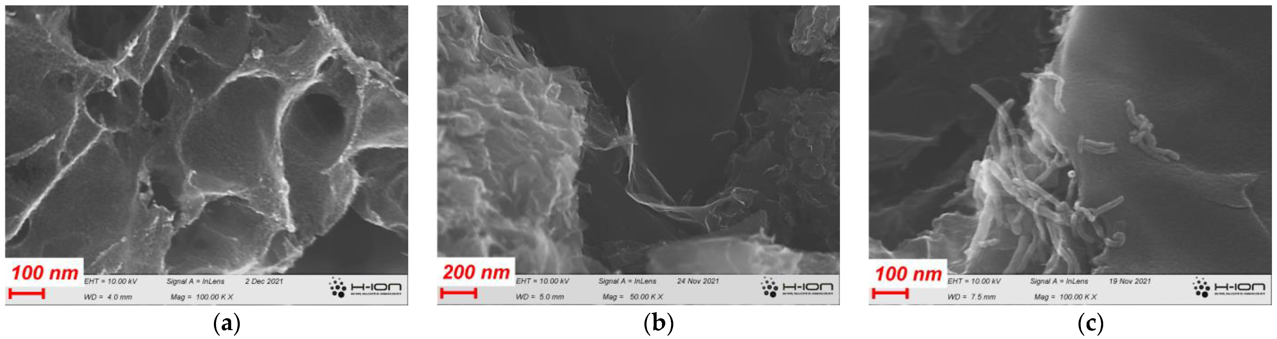 Carbon 09 00068 g002 Carbon 09 00068 g002