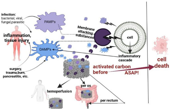 activated charcoal and liquid glutathione Carbon for Sepsis Prevention Intervention: A Modern Way of Utilizing Old Therapies Meds only: SKY GLUTATHIONE