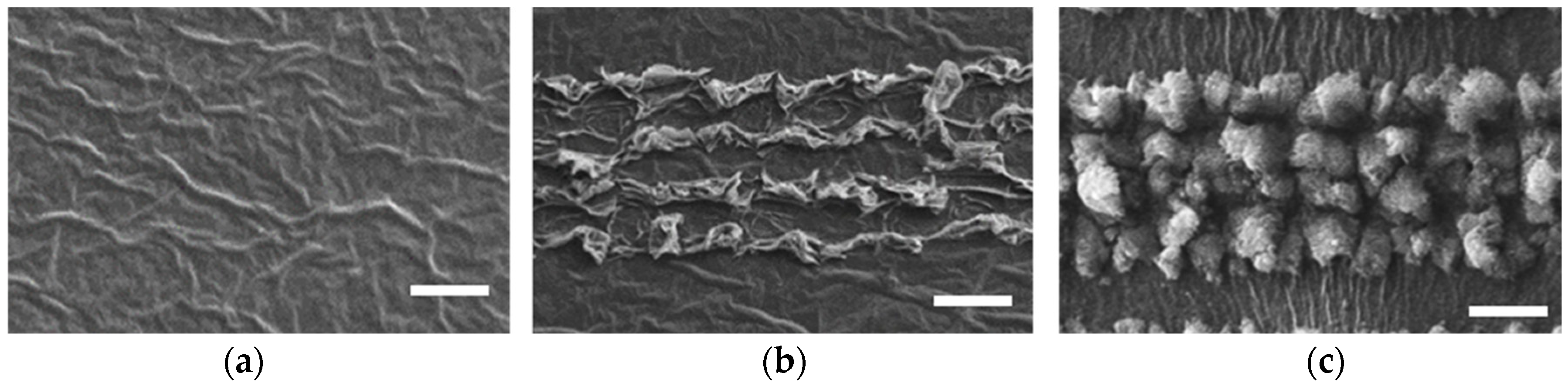 Carbon 09 00074 g001