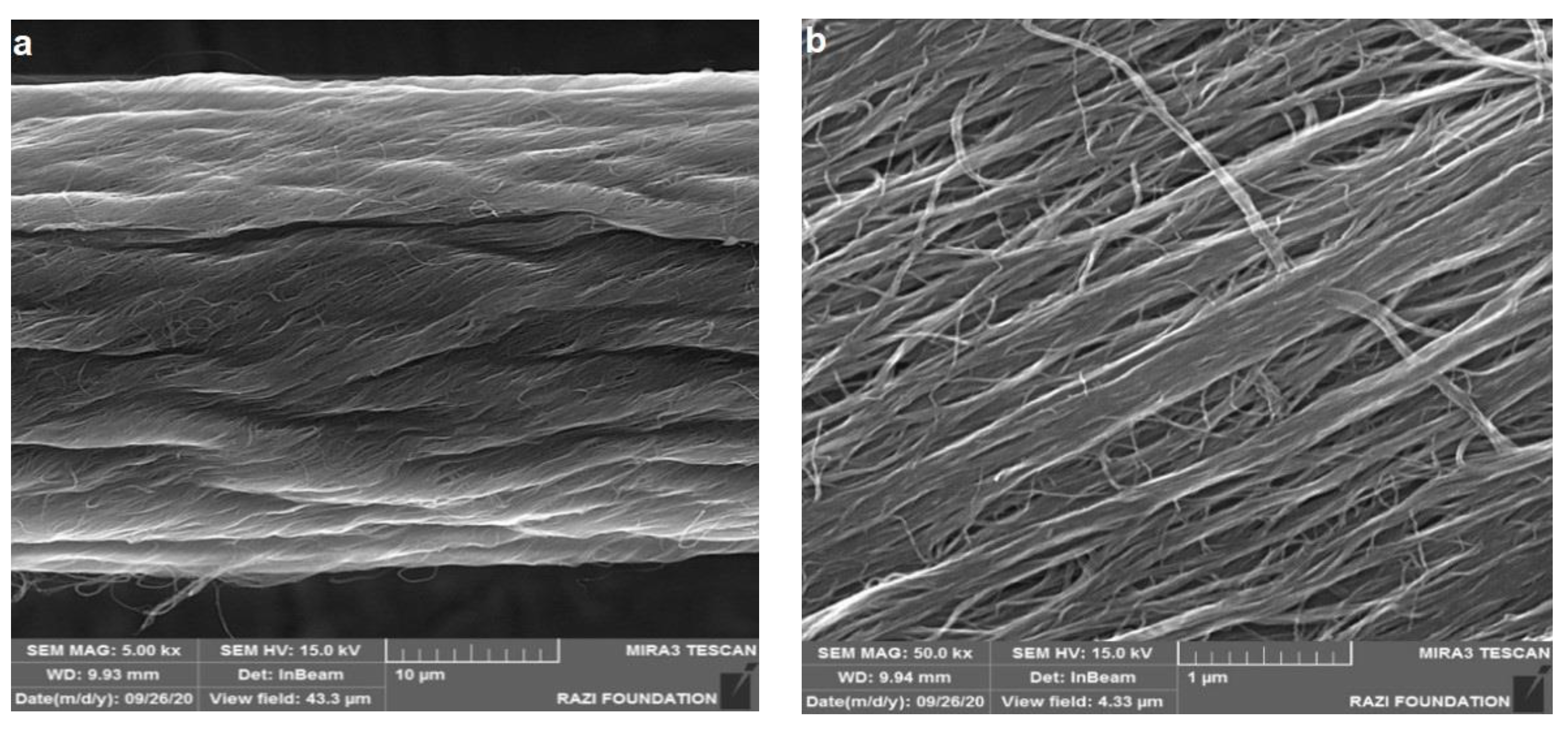 Carbon 09 00089 g001