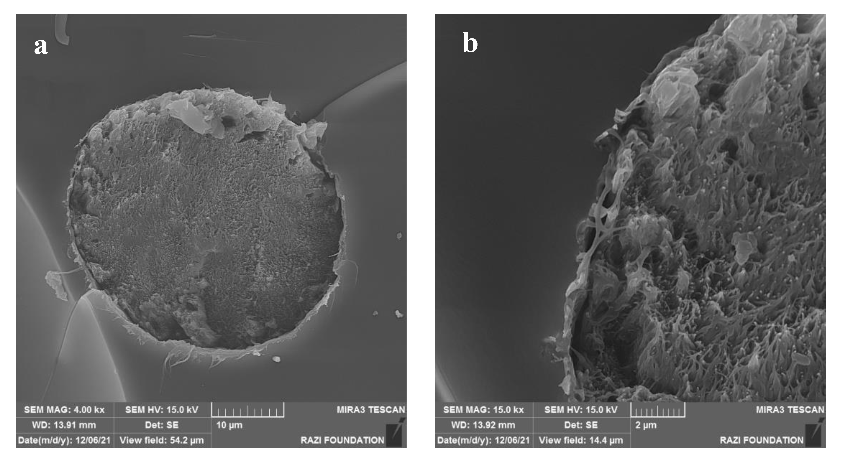 Carbon 09 00089 g009