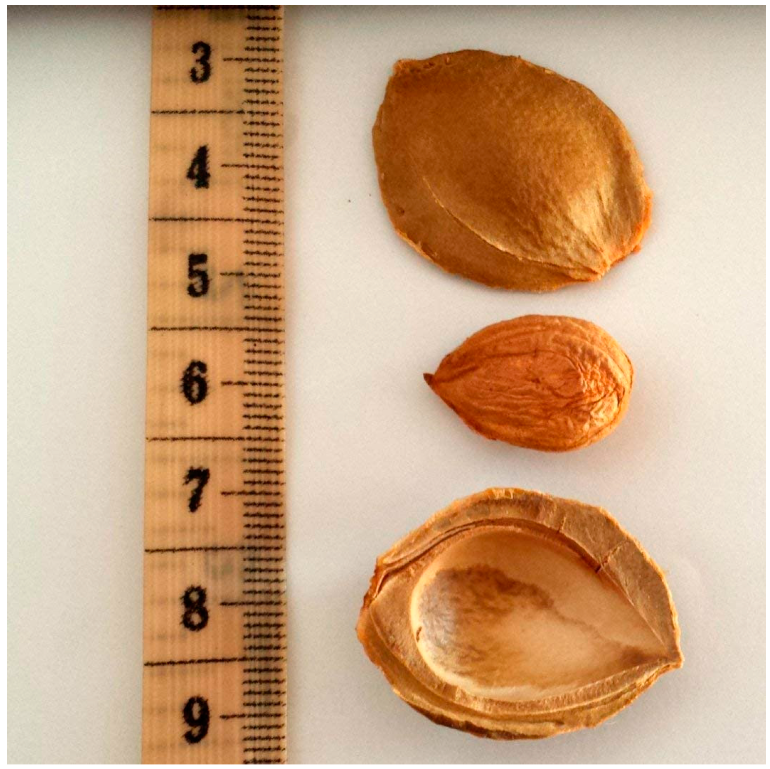 Carbon 09 00093 g001