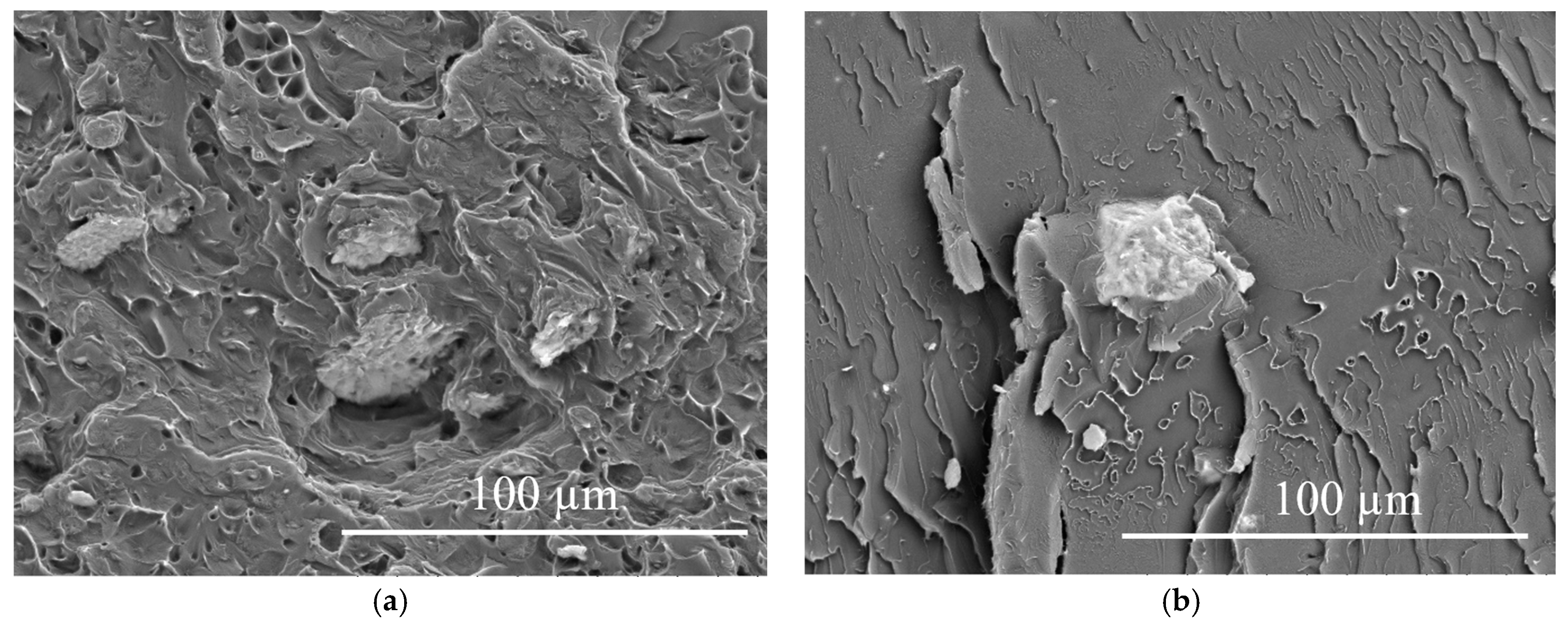 Carbon 09 00096 g011