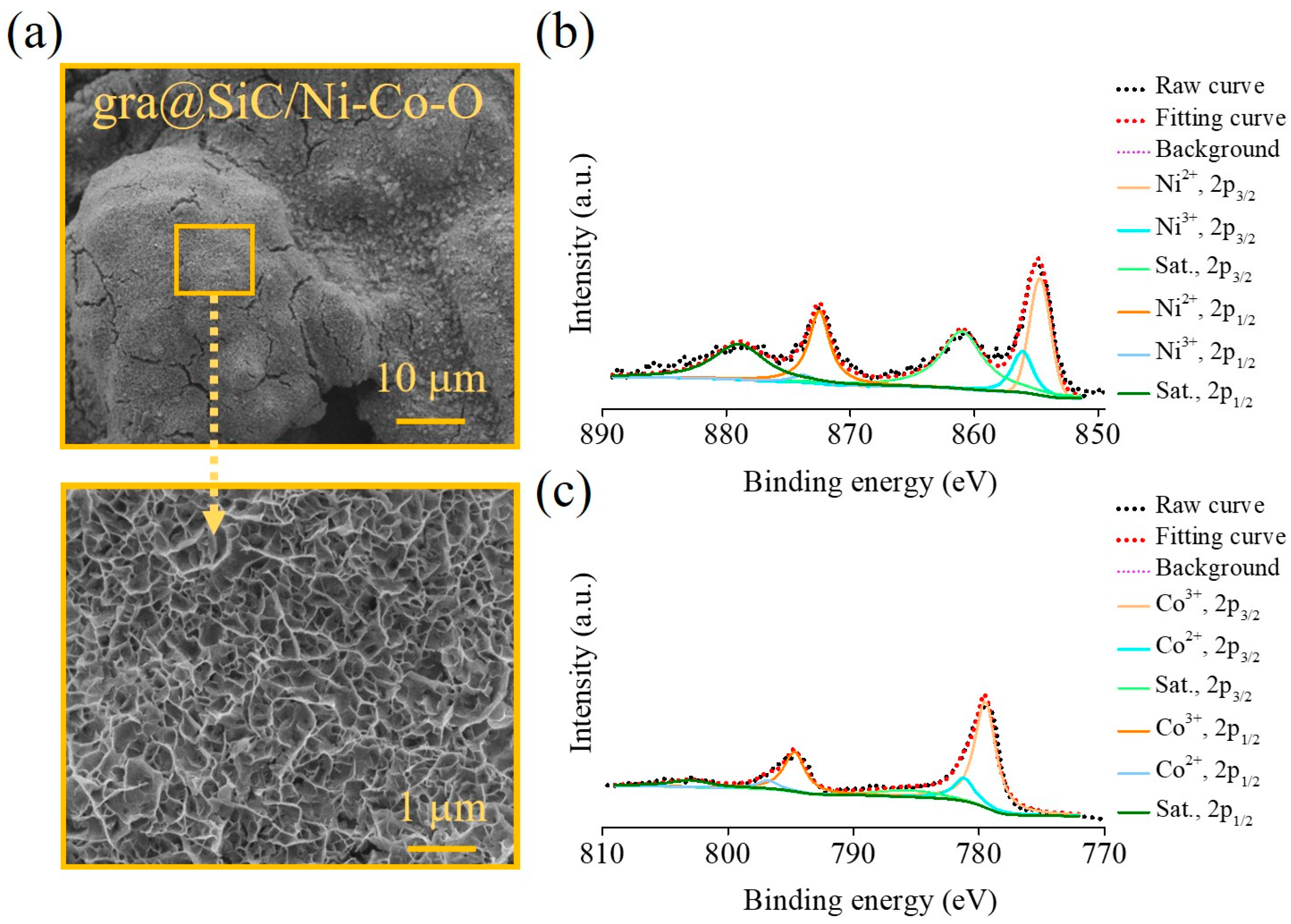 Carbon 09 00101 g006