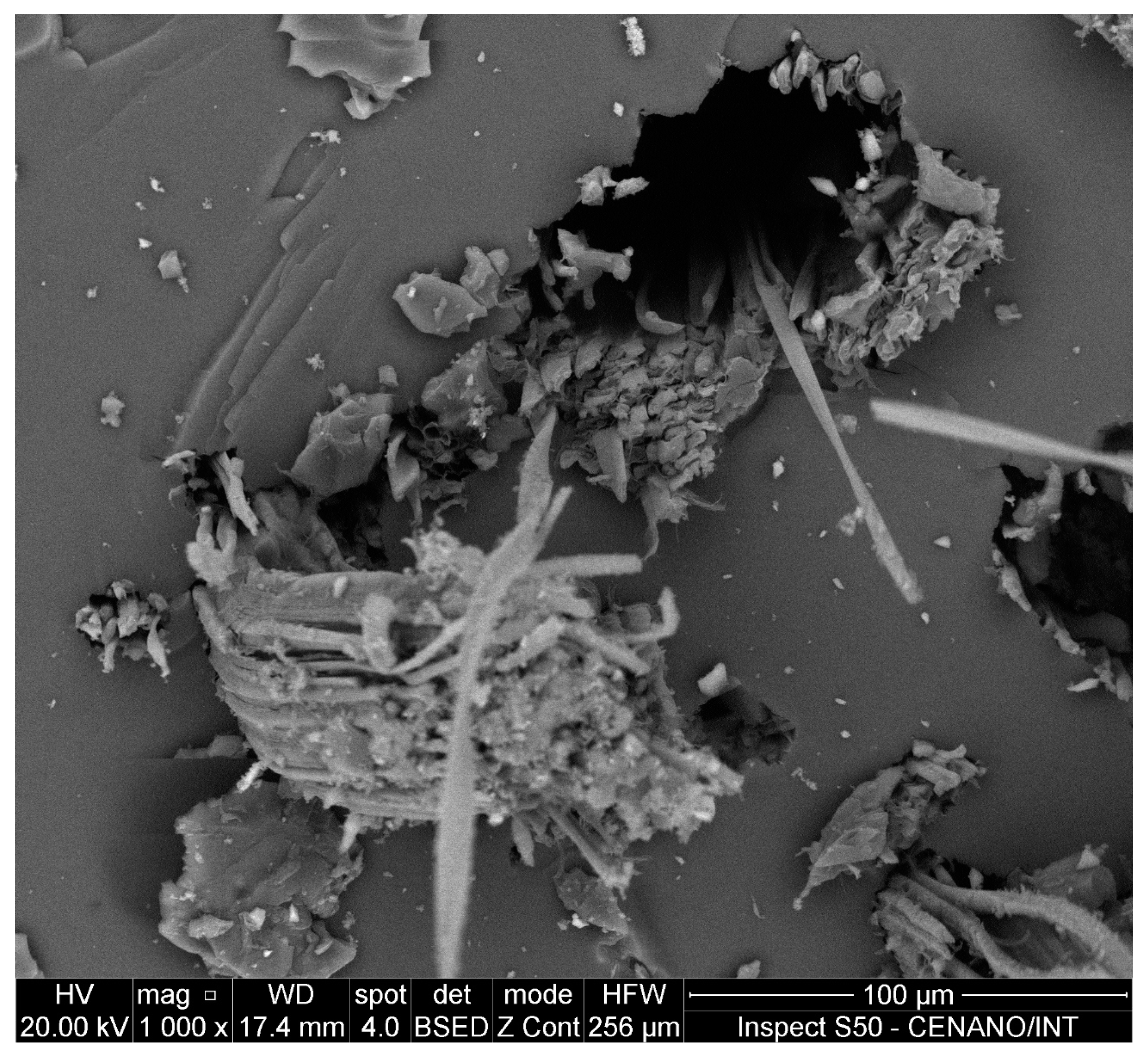 Carbon 09 00102 g010