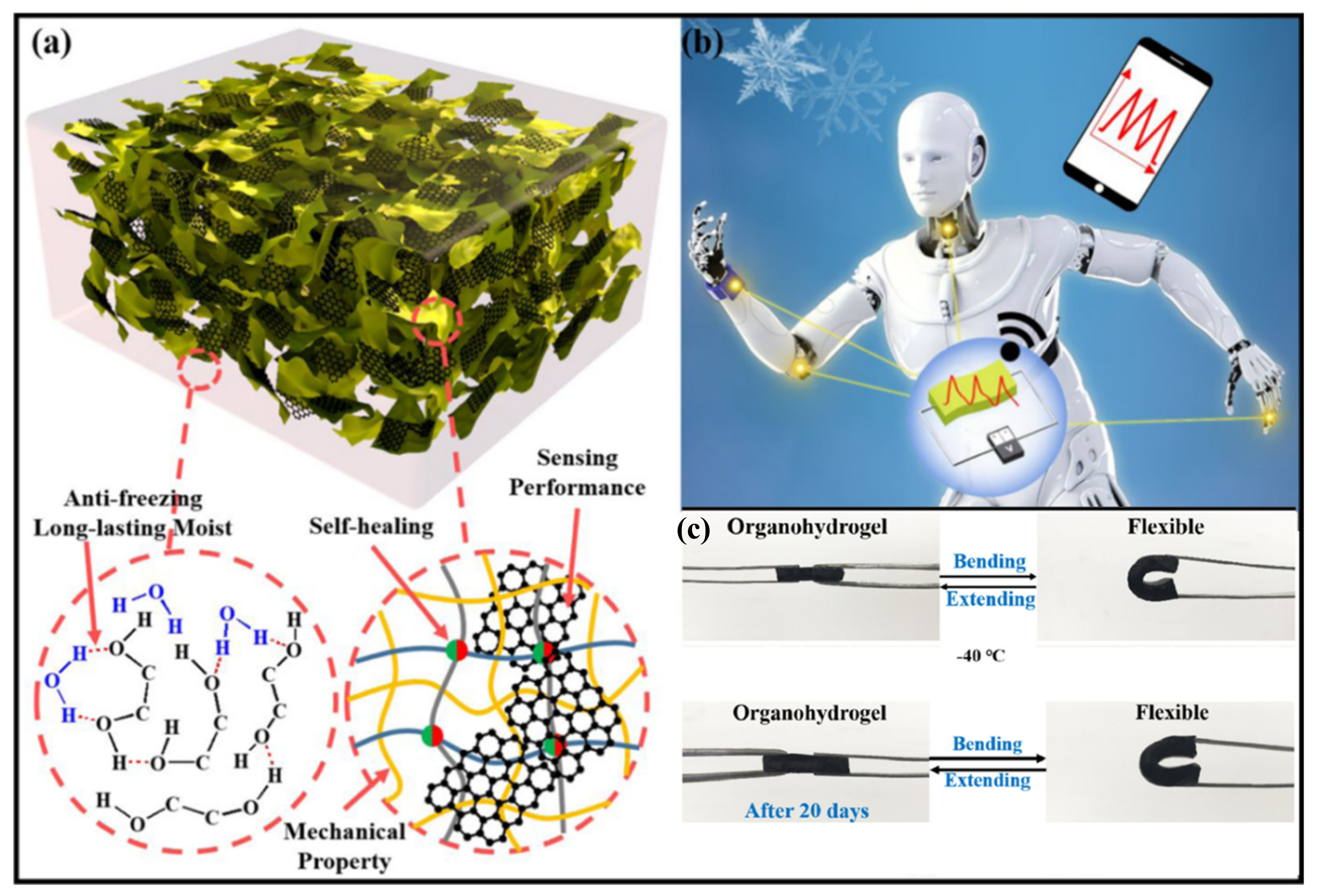 Carbon 09 00108 g005