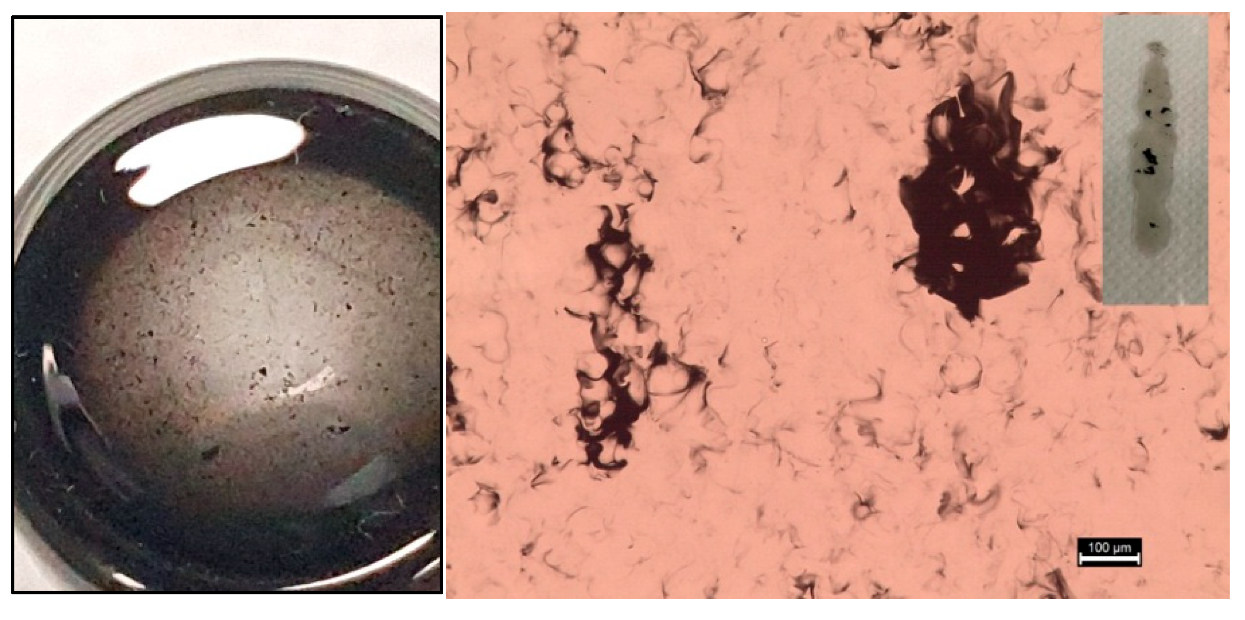 Carbon 09 00119 g007