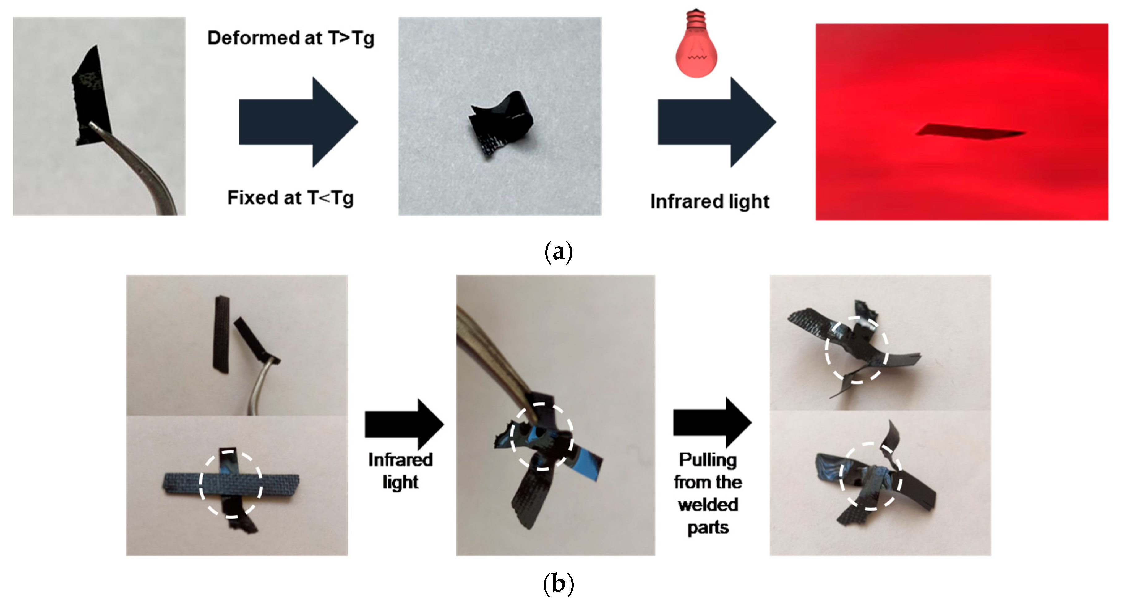 Carbon 09 00119 g014