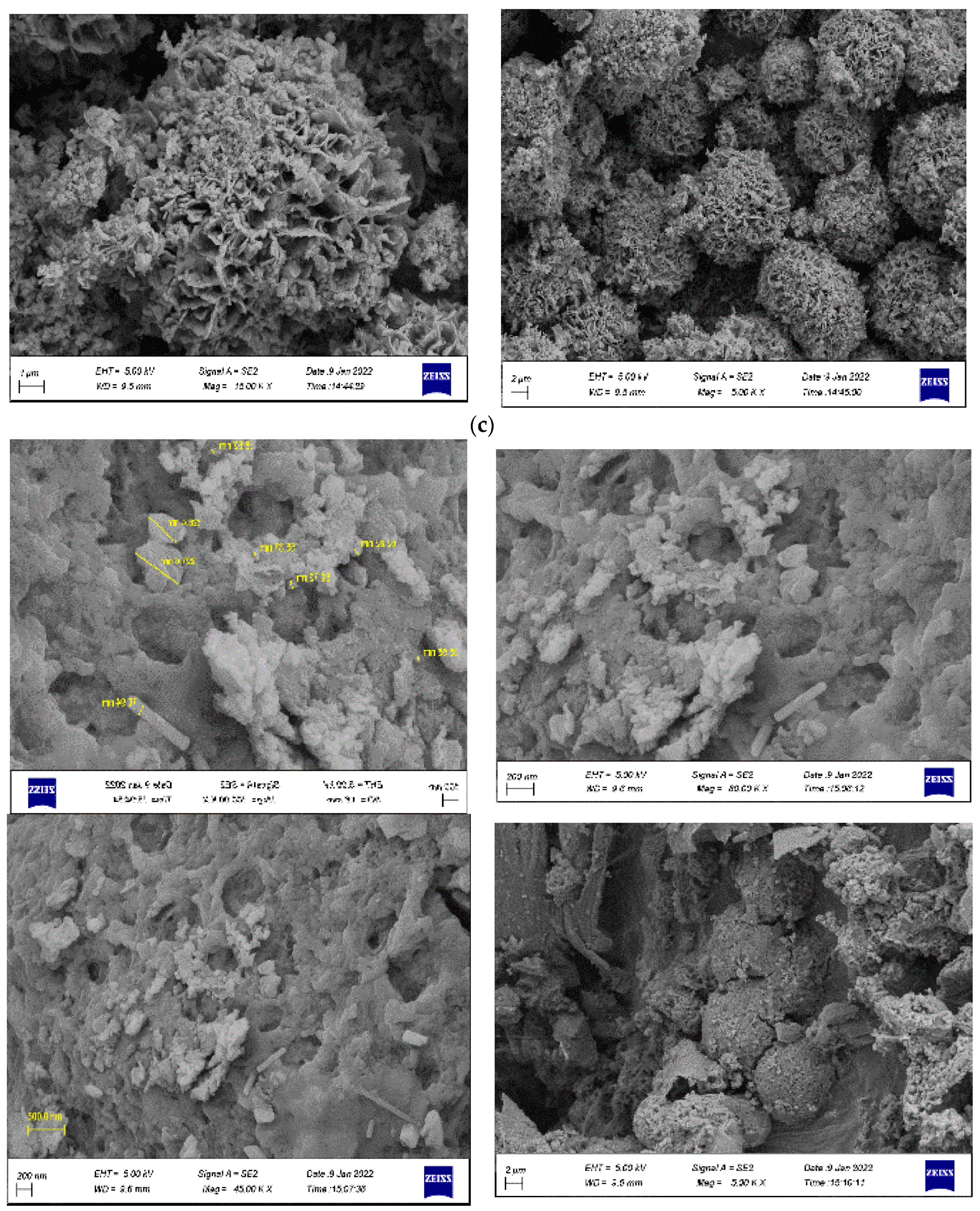 Carbon 10 00002 g003b
