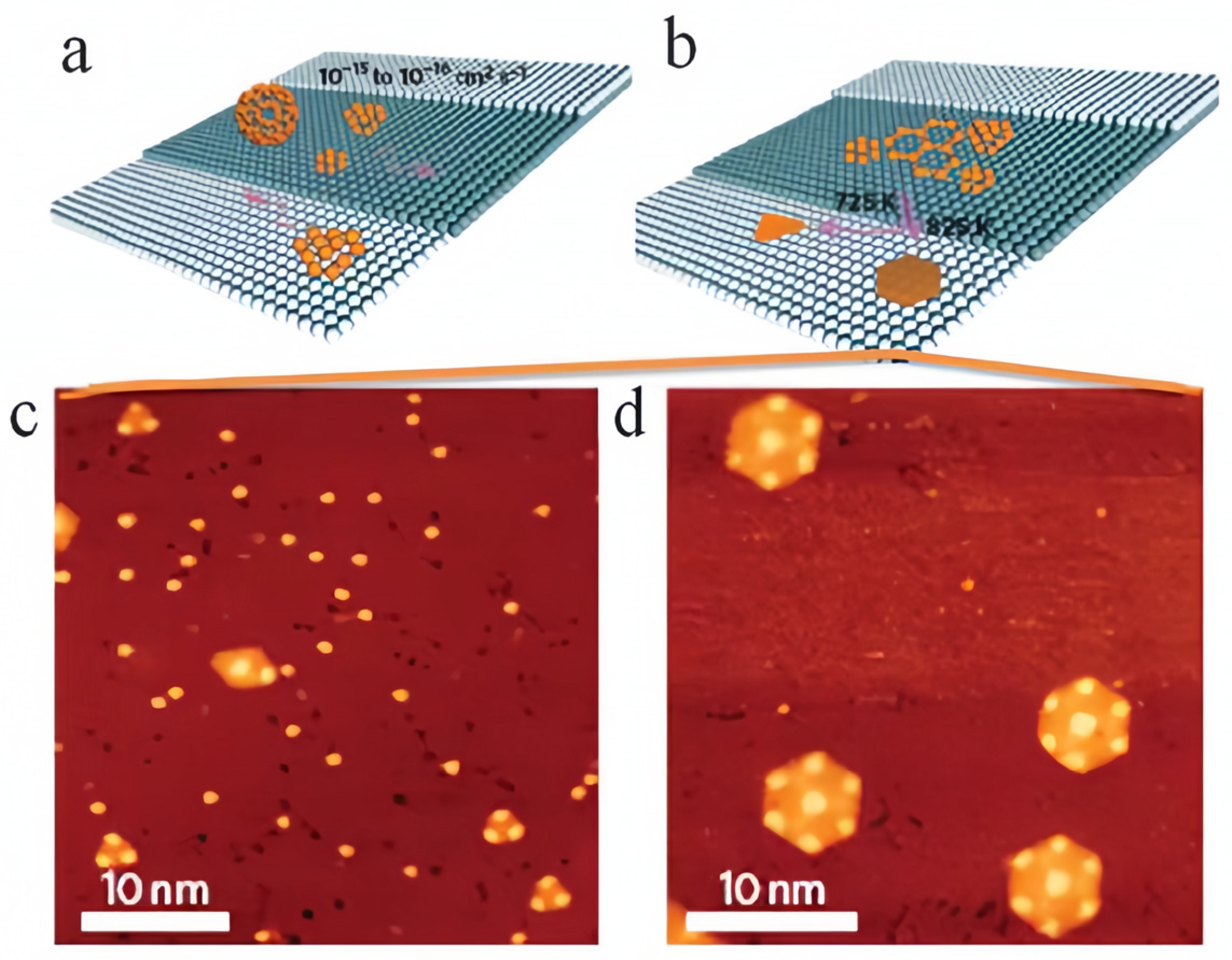 Carbon 10 00007 g007