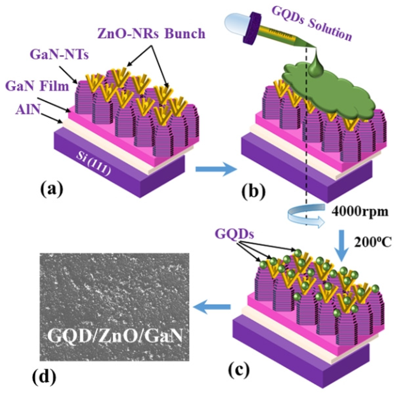 Carbon 10 00007 g018