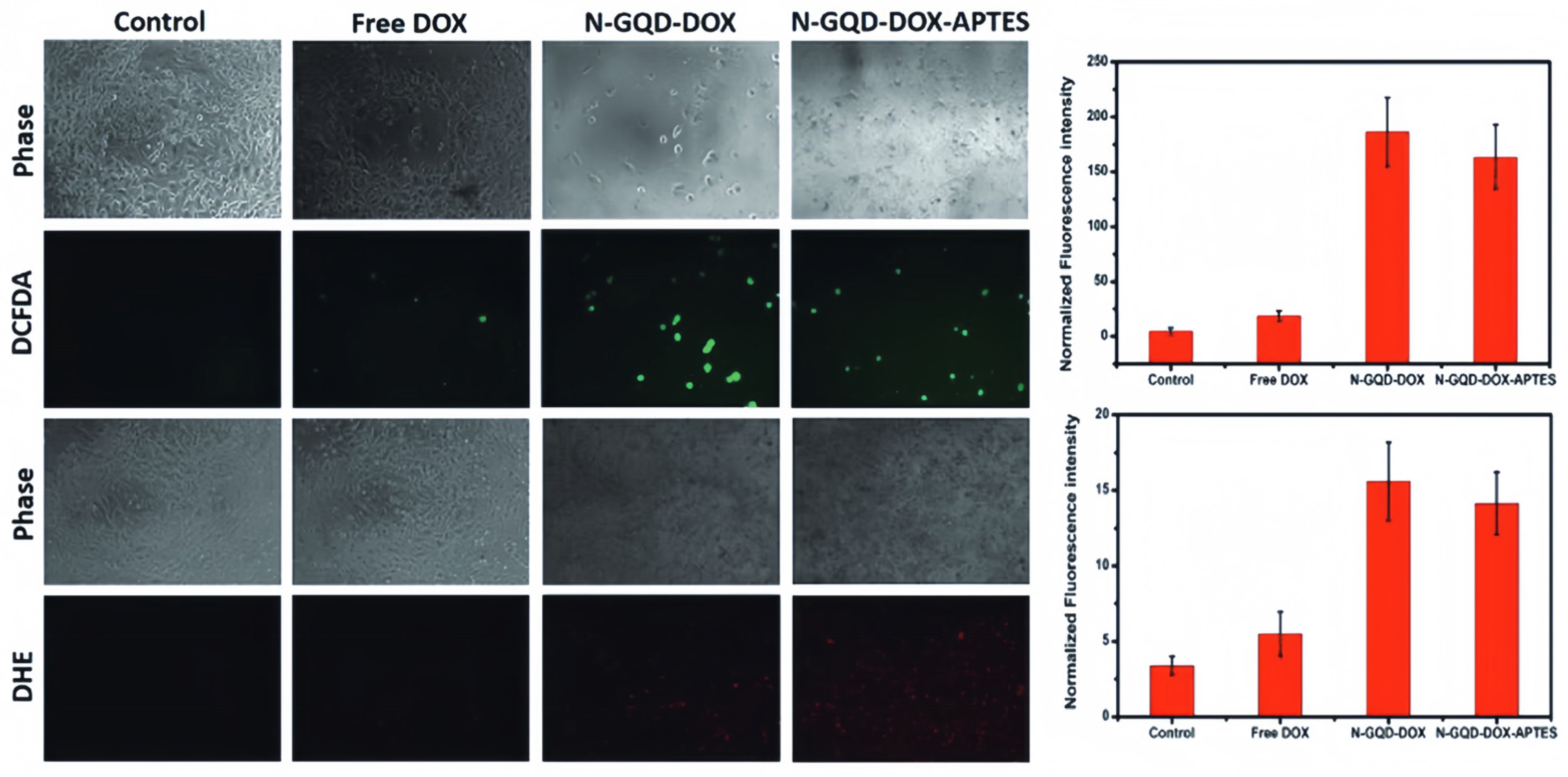 Carbon 10 00007 g026