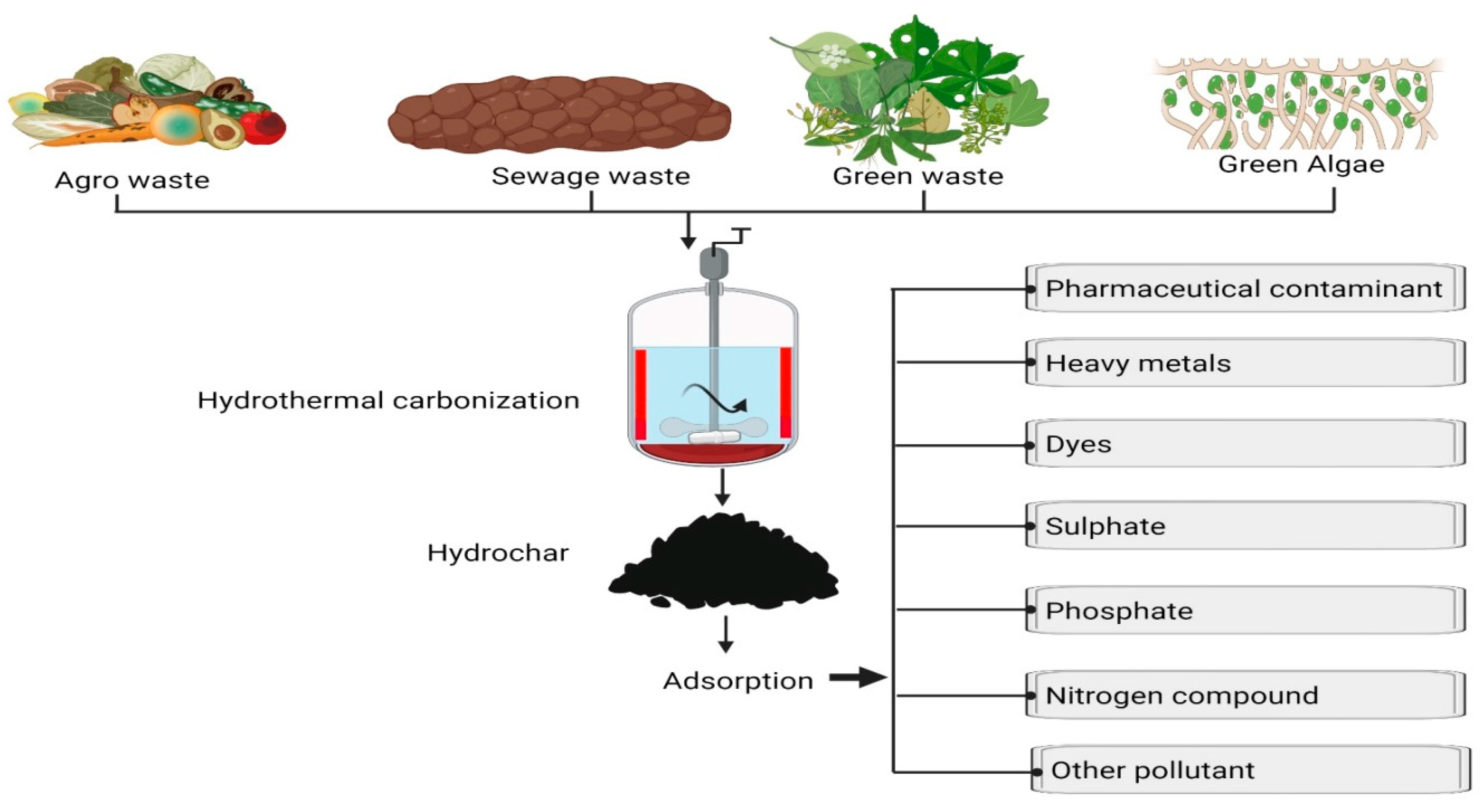Carbon 10 00008 g001