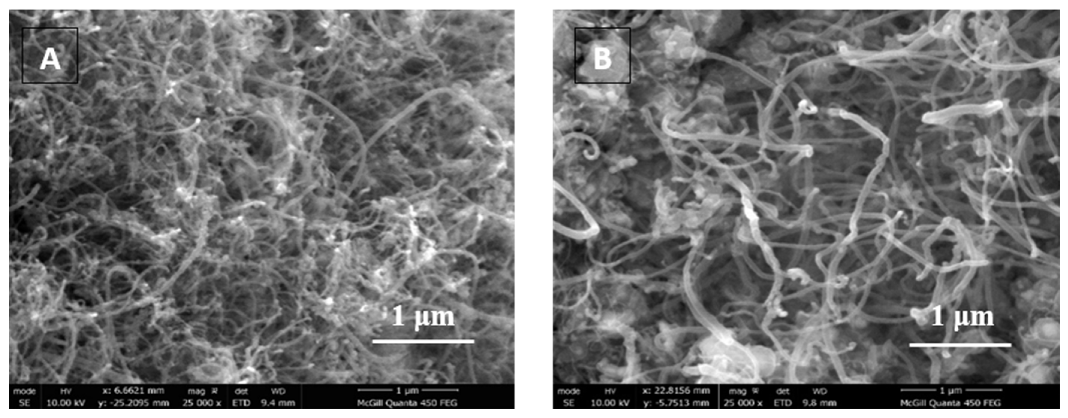 Carbon 10 00009 g007