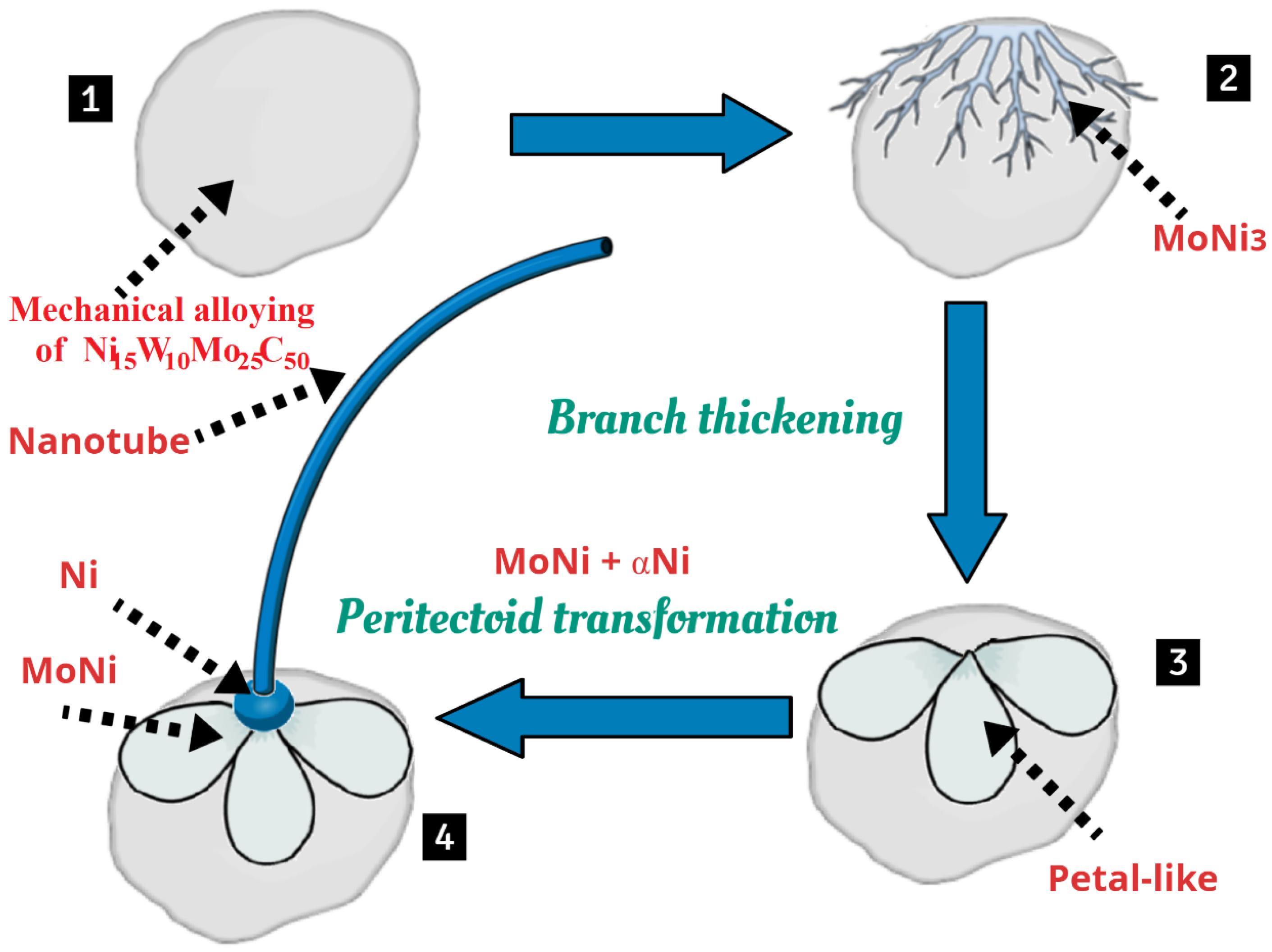 Carbon 10 00011 g005