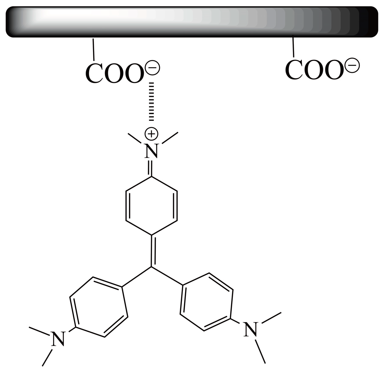 Carbon 10 00019 g006