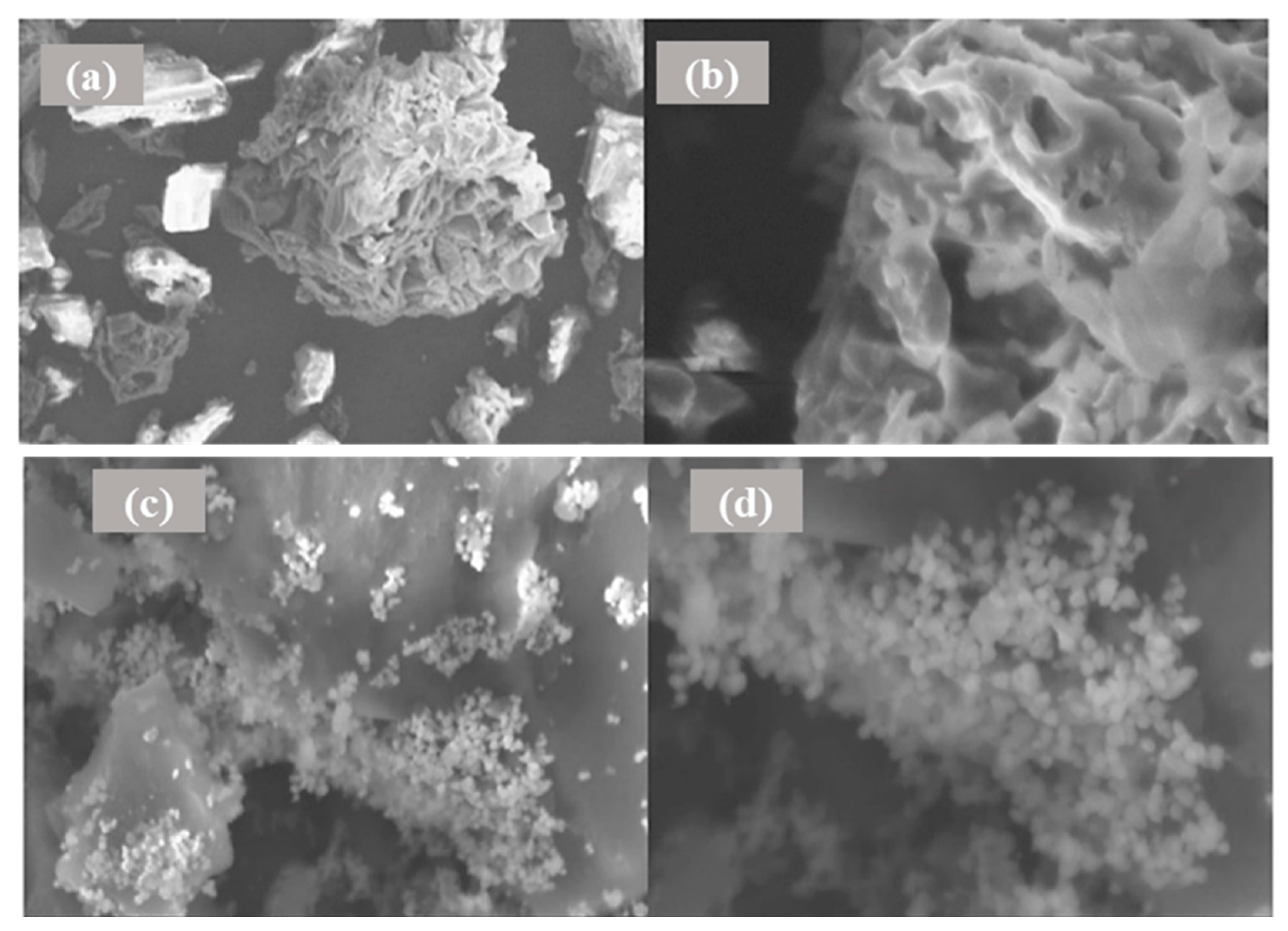 Carbon 10 00022 g003