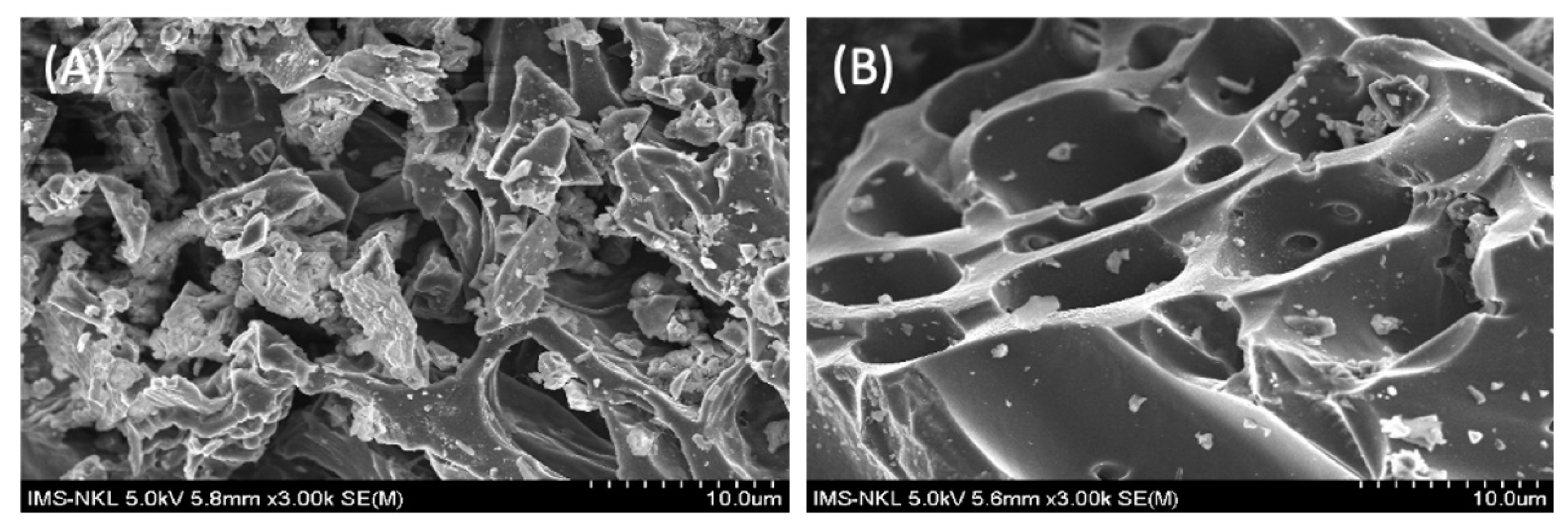 Carbon 10 00022 g004