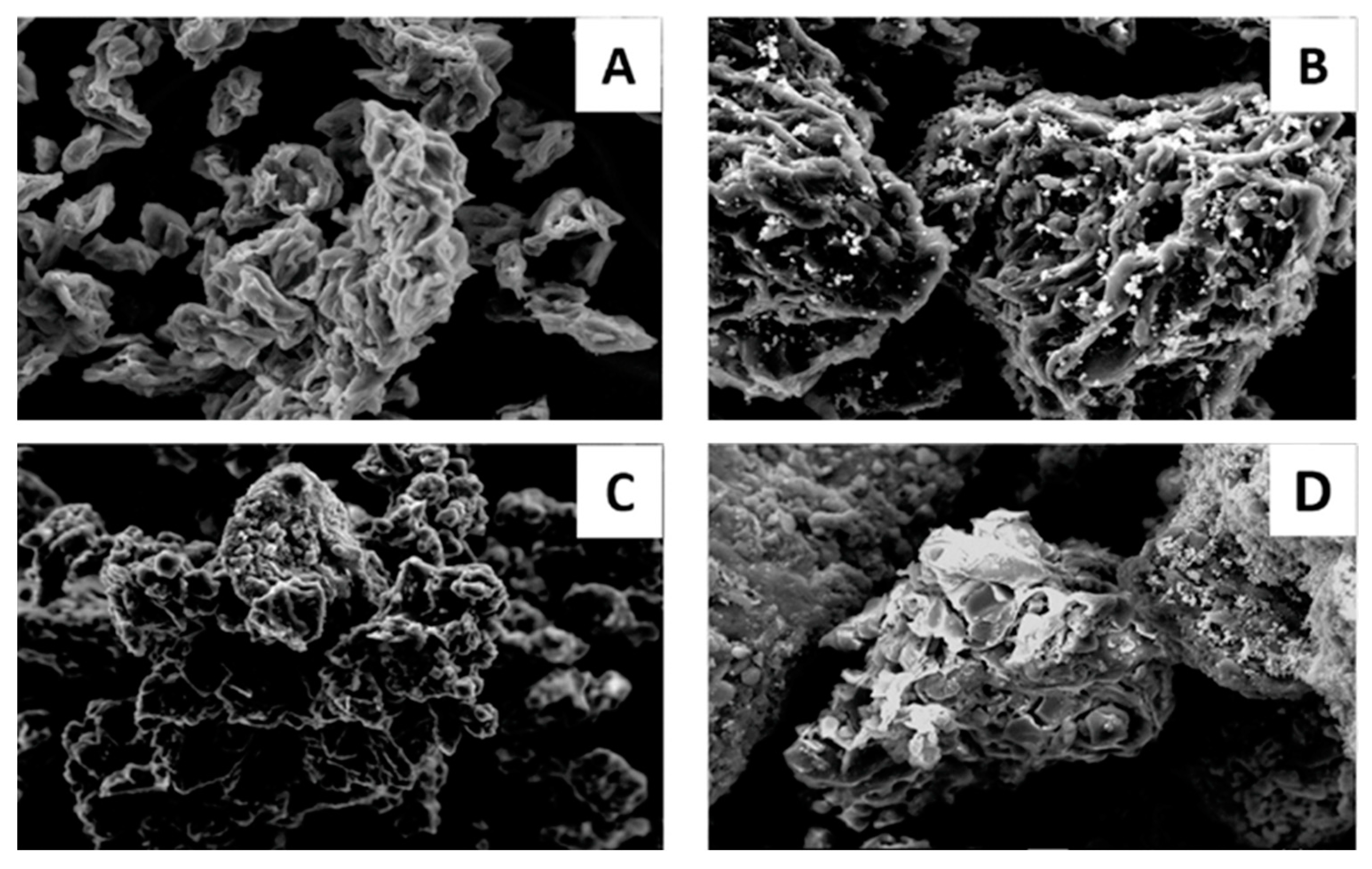 Carbon 10 00022 g006